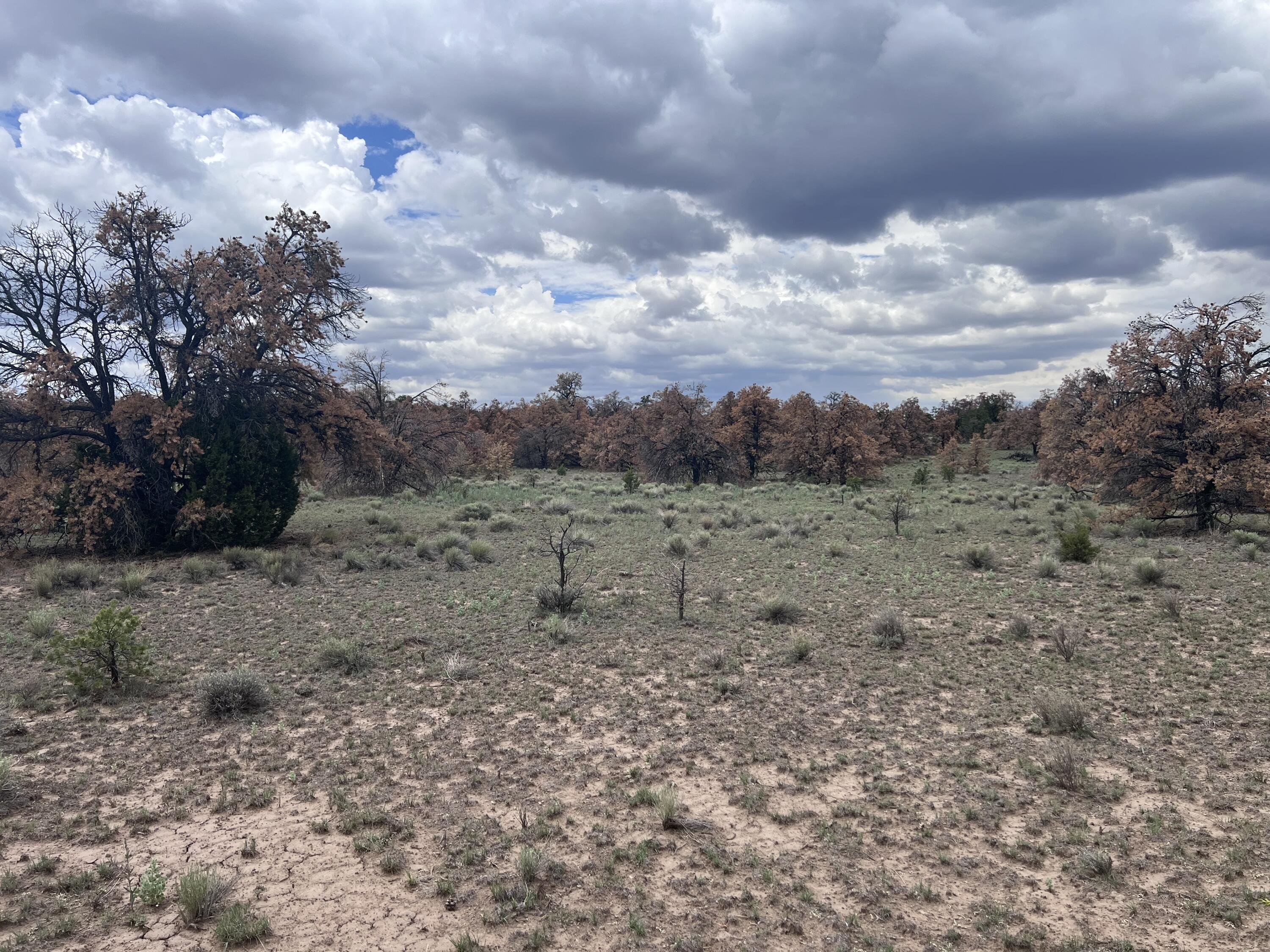 Photo 16 — LOT 57 FOUNTAIN HILLS RD