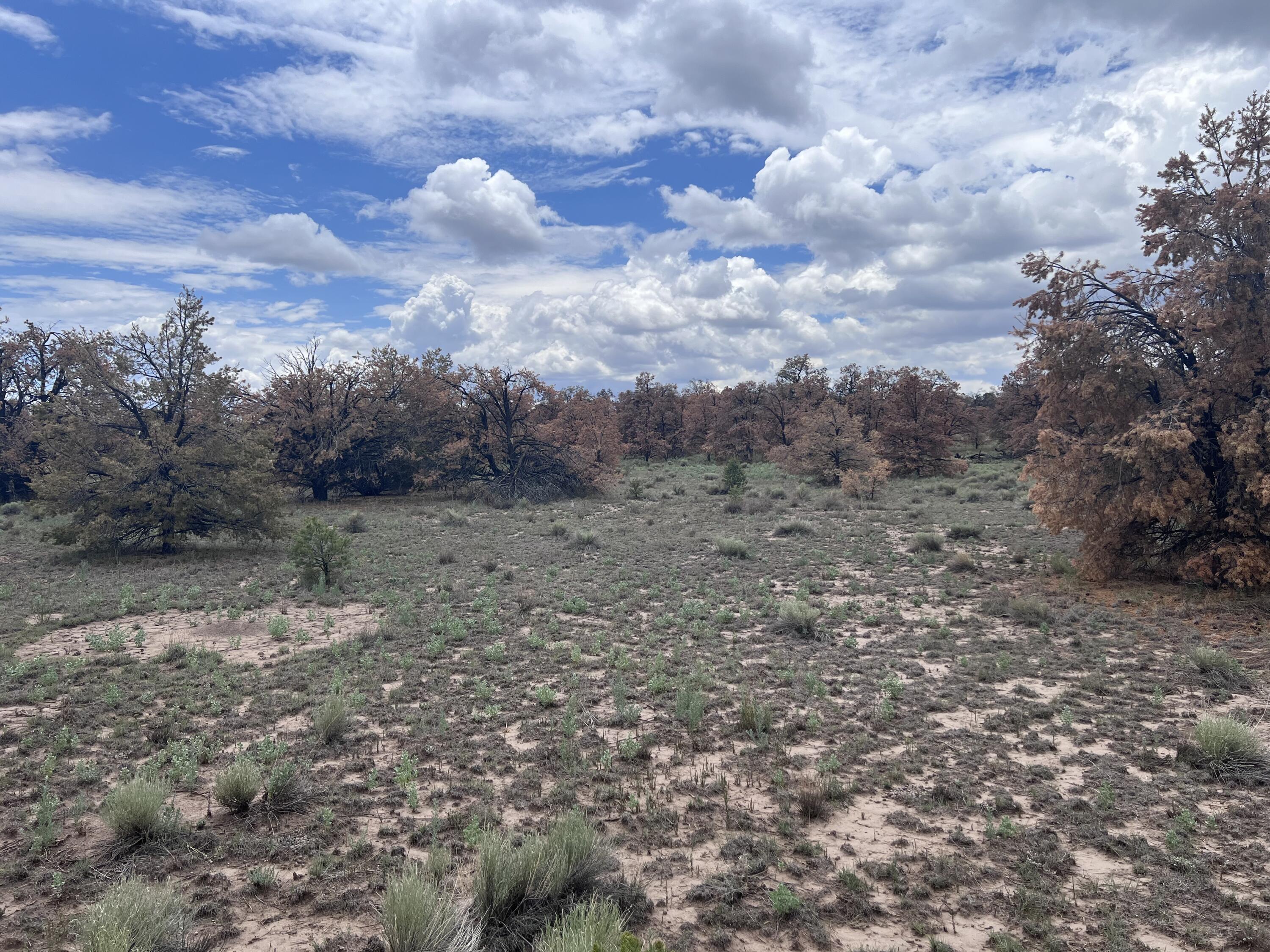 Photo 17 — LOT 57 FOUNTAIN HILLS RD