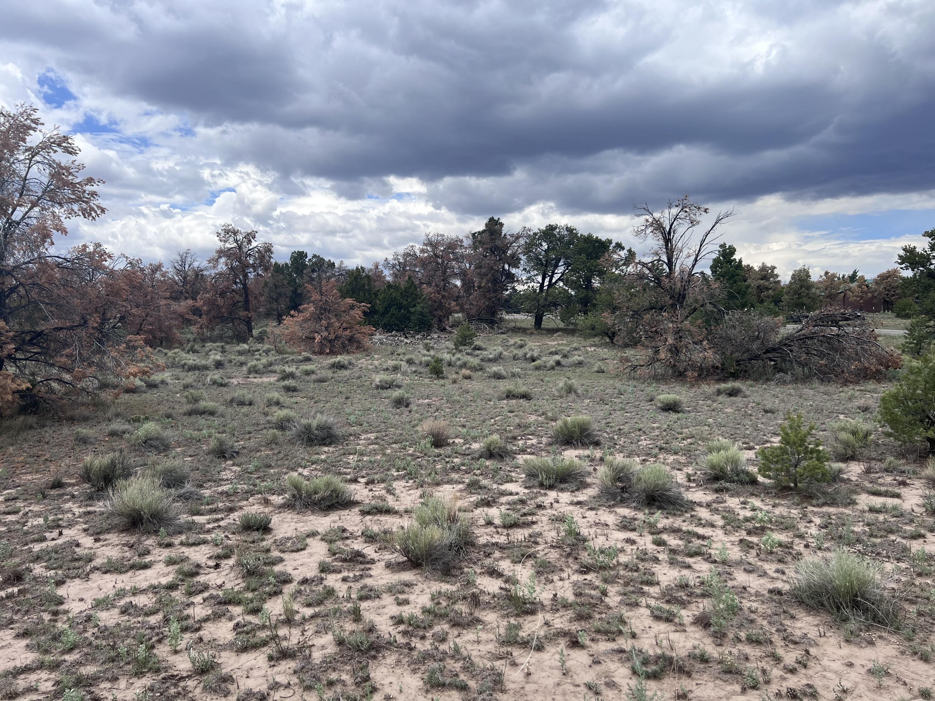 Photo 10 — LOT 57 FOUNTAIN HILLS RD