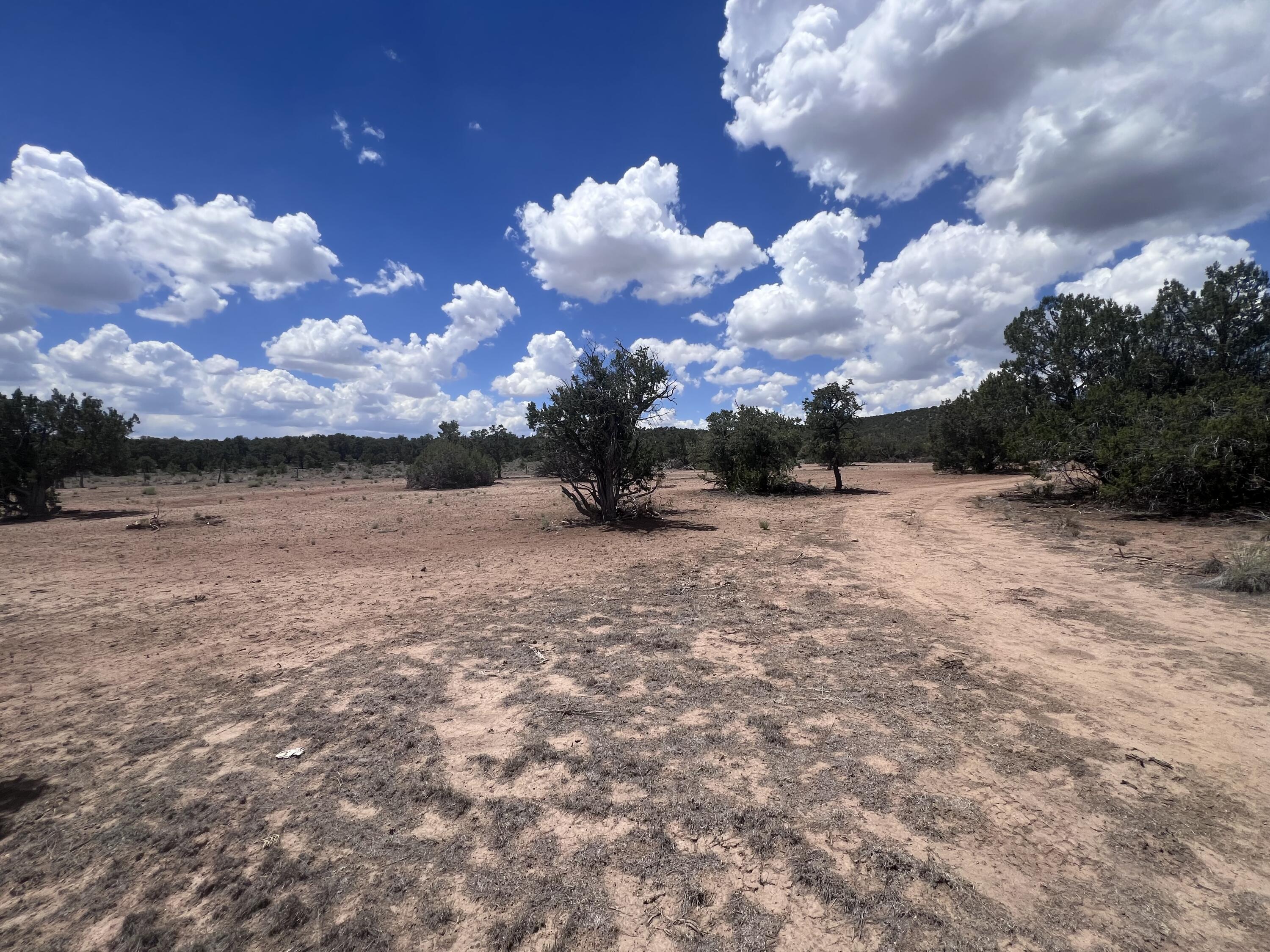 Photo 15 — 1488 New Mexico 603