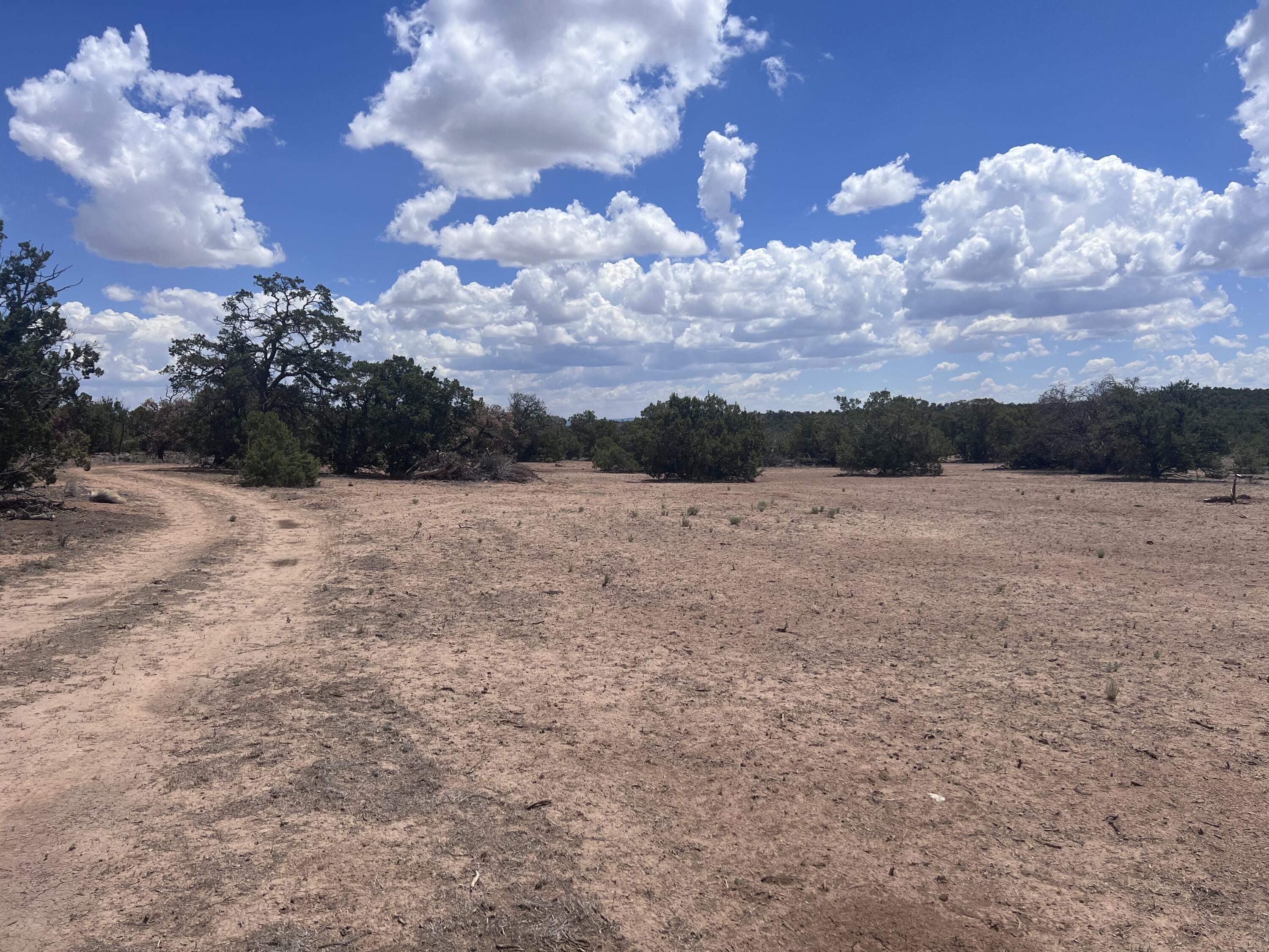 Photo 16 — 1488 New Mexico 603