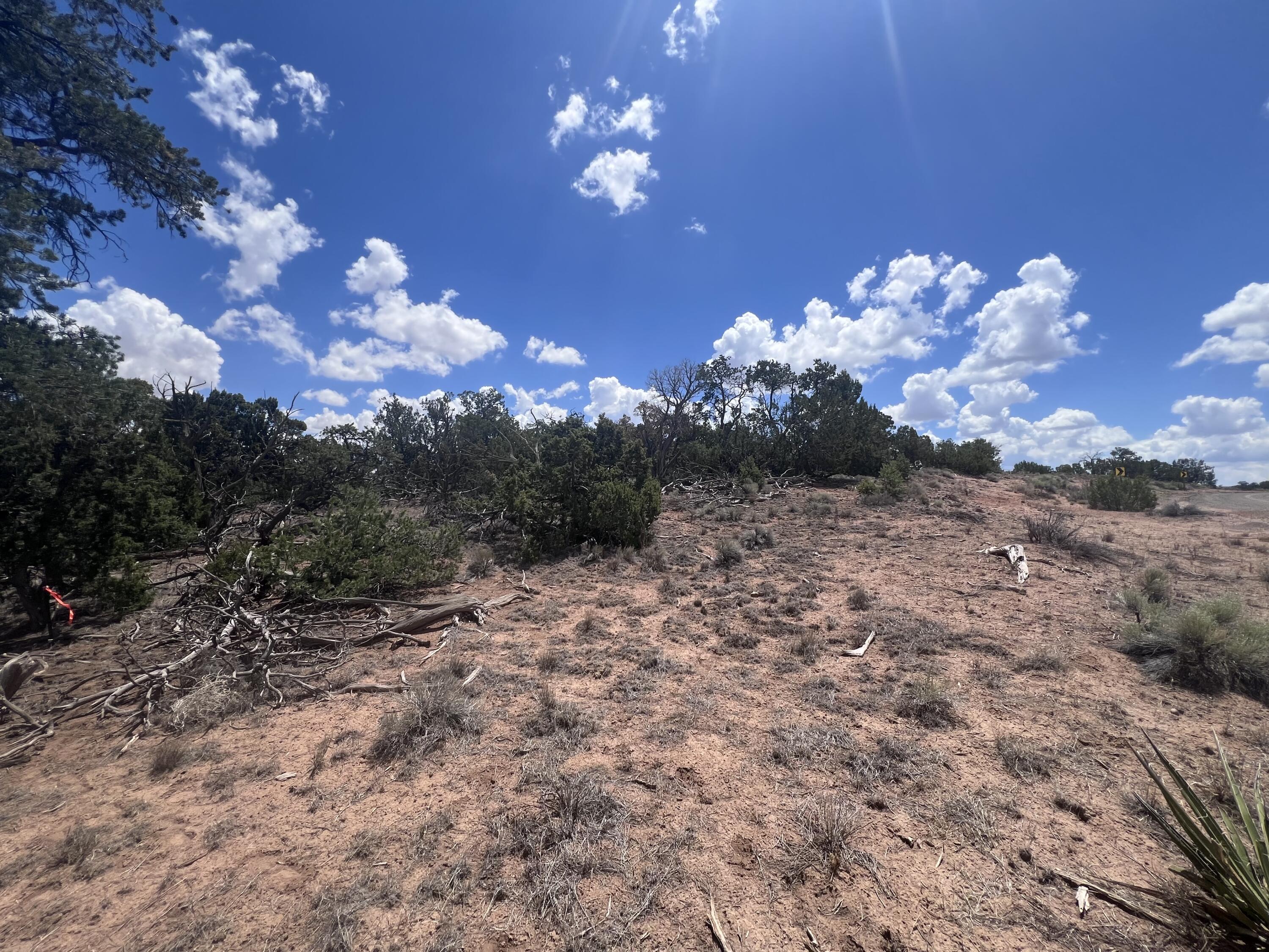 Photo 18 — 1488 New Mexico 603