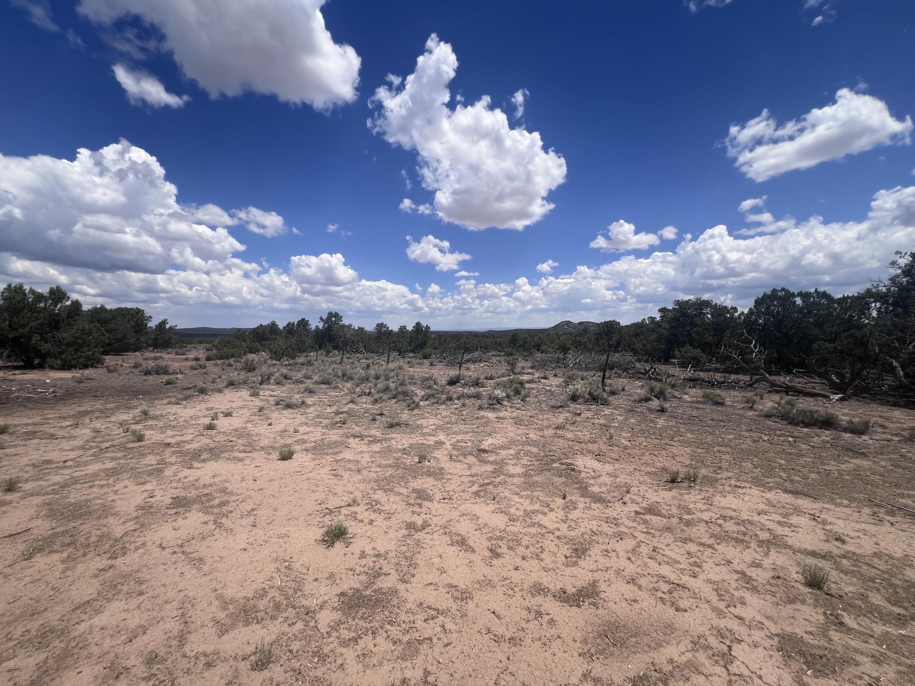 Photo 19 — 1488 New Mexico 603