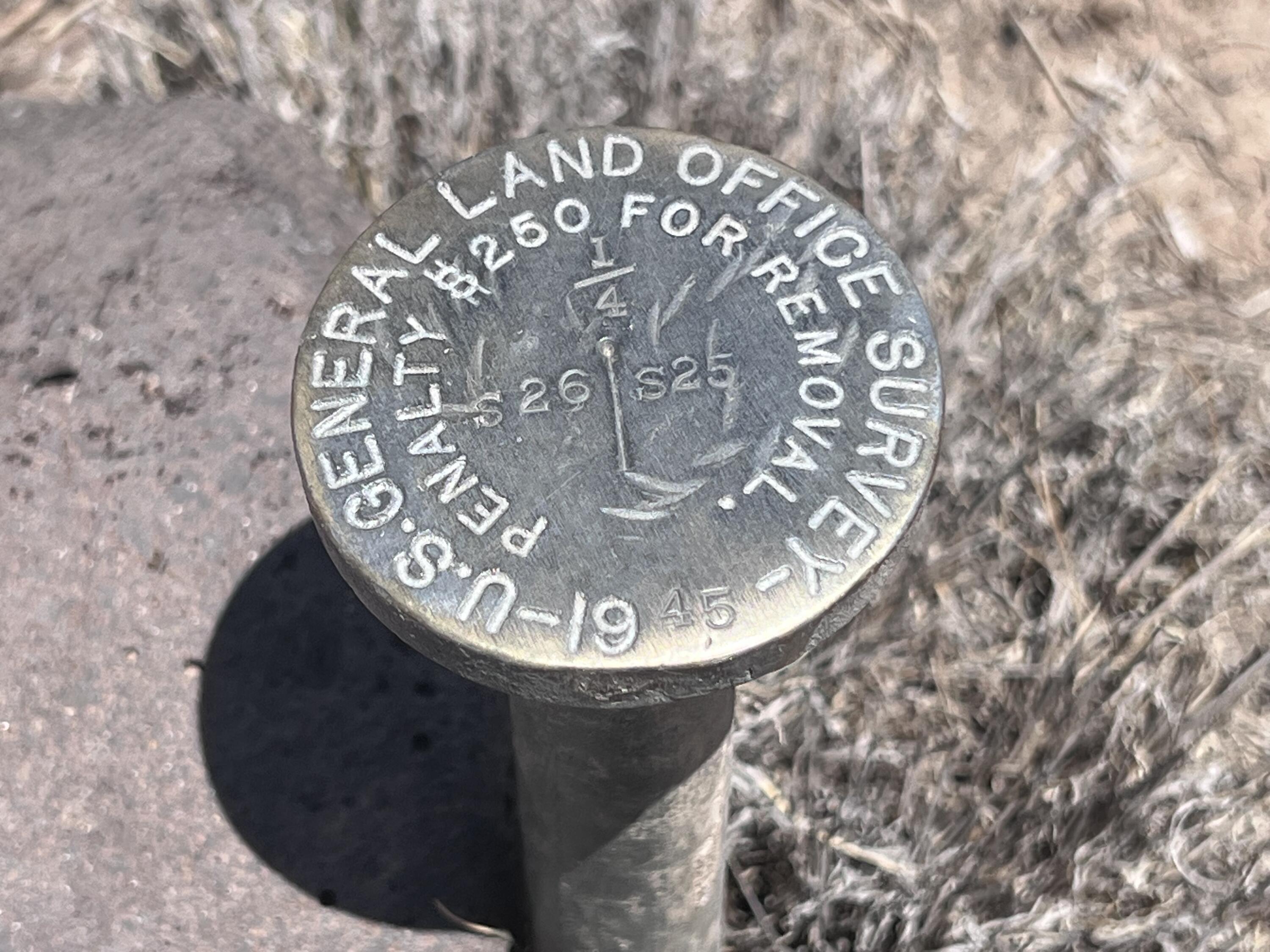 Photo 5 — 1488 New Mexico 603