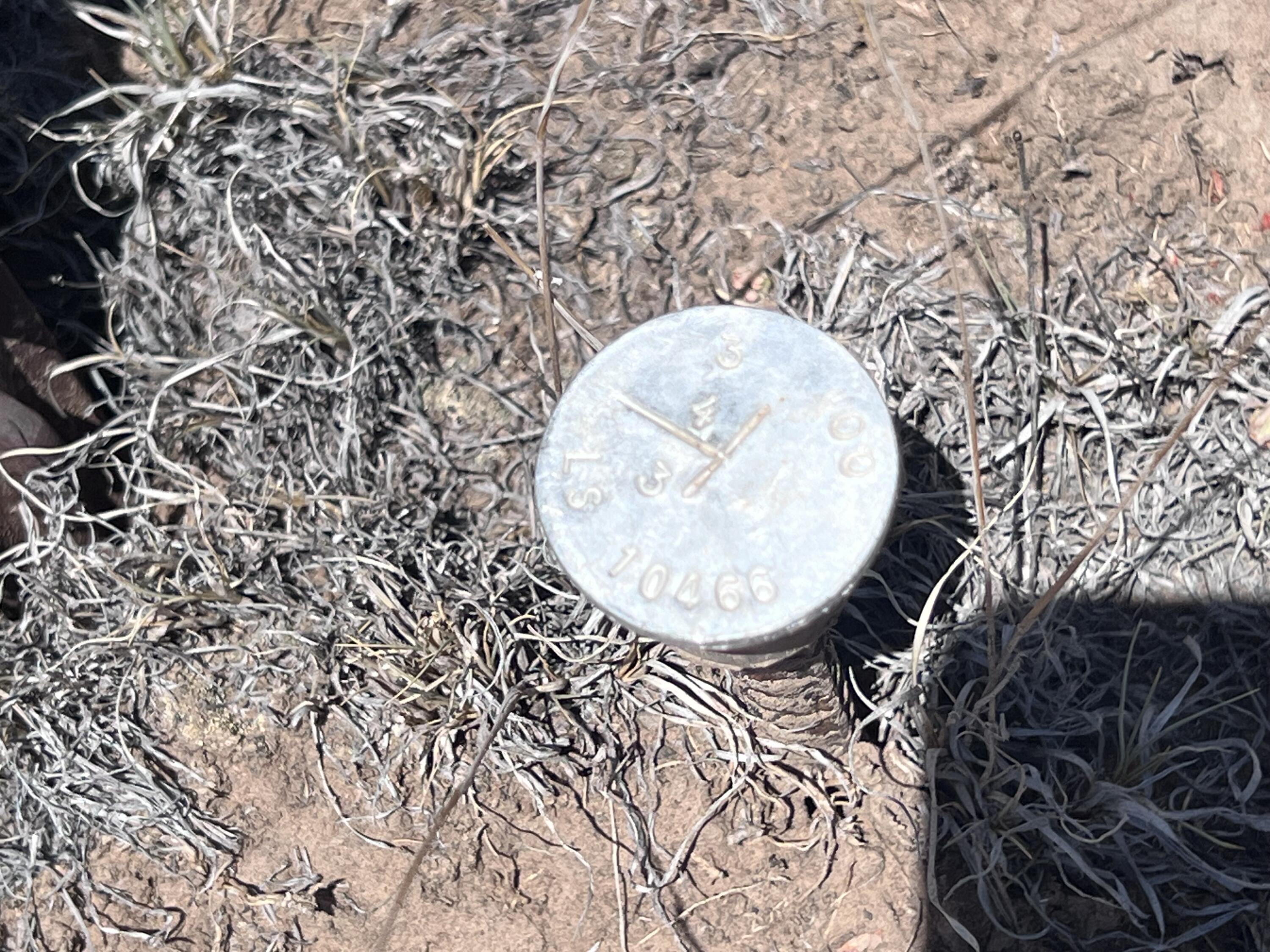 Photo 10 — 1488 New Mexico 603