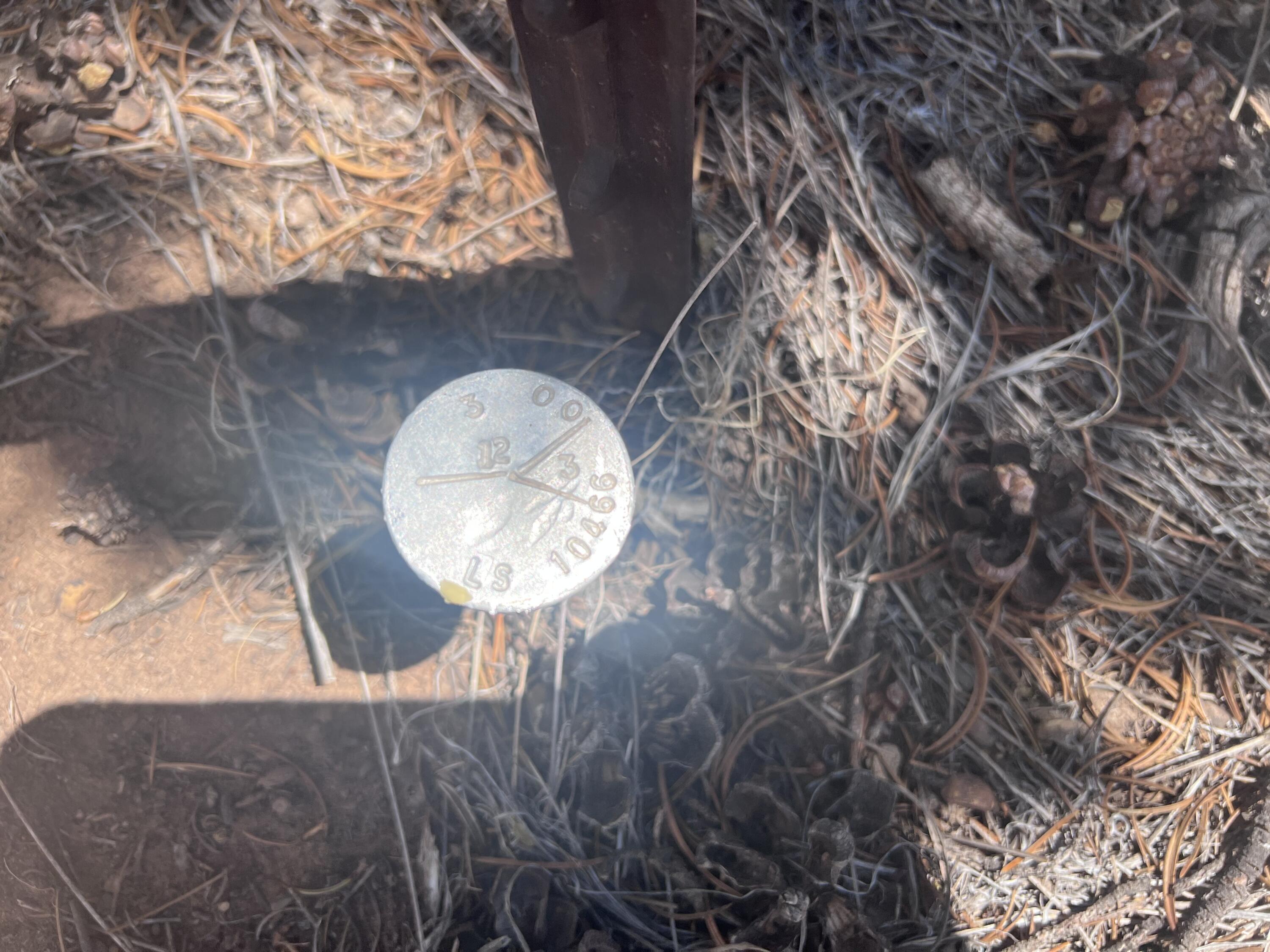 Photo 3 — 1488 New Mexico 603