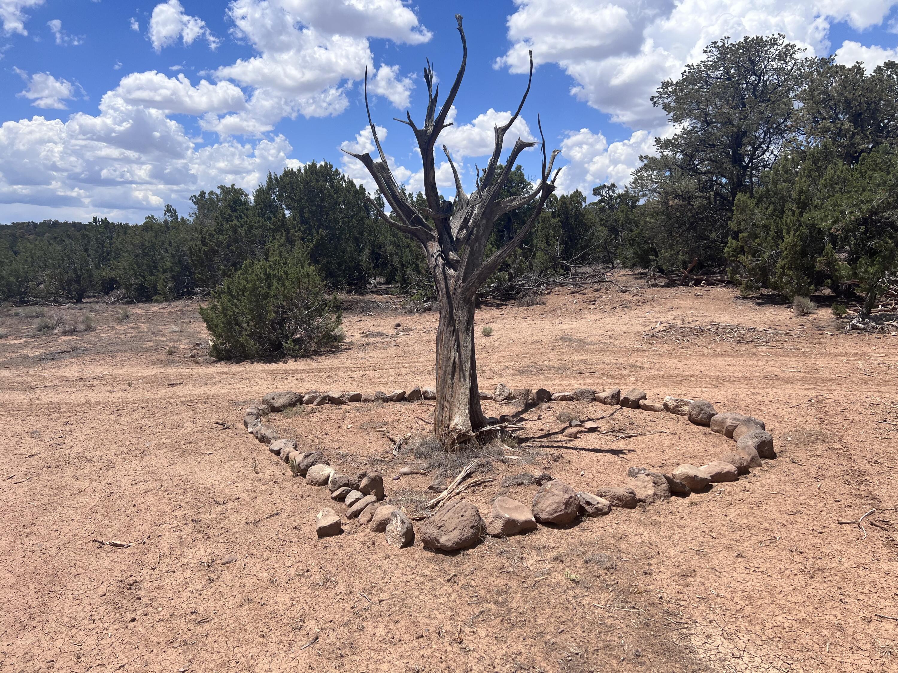 Photo 11 — 1488 New Mexico 603