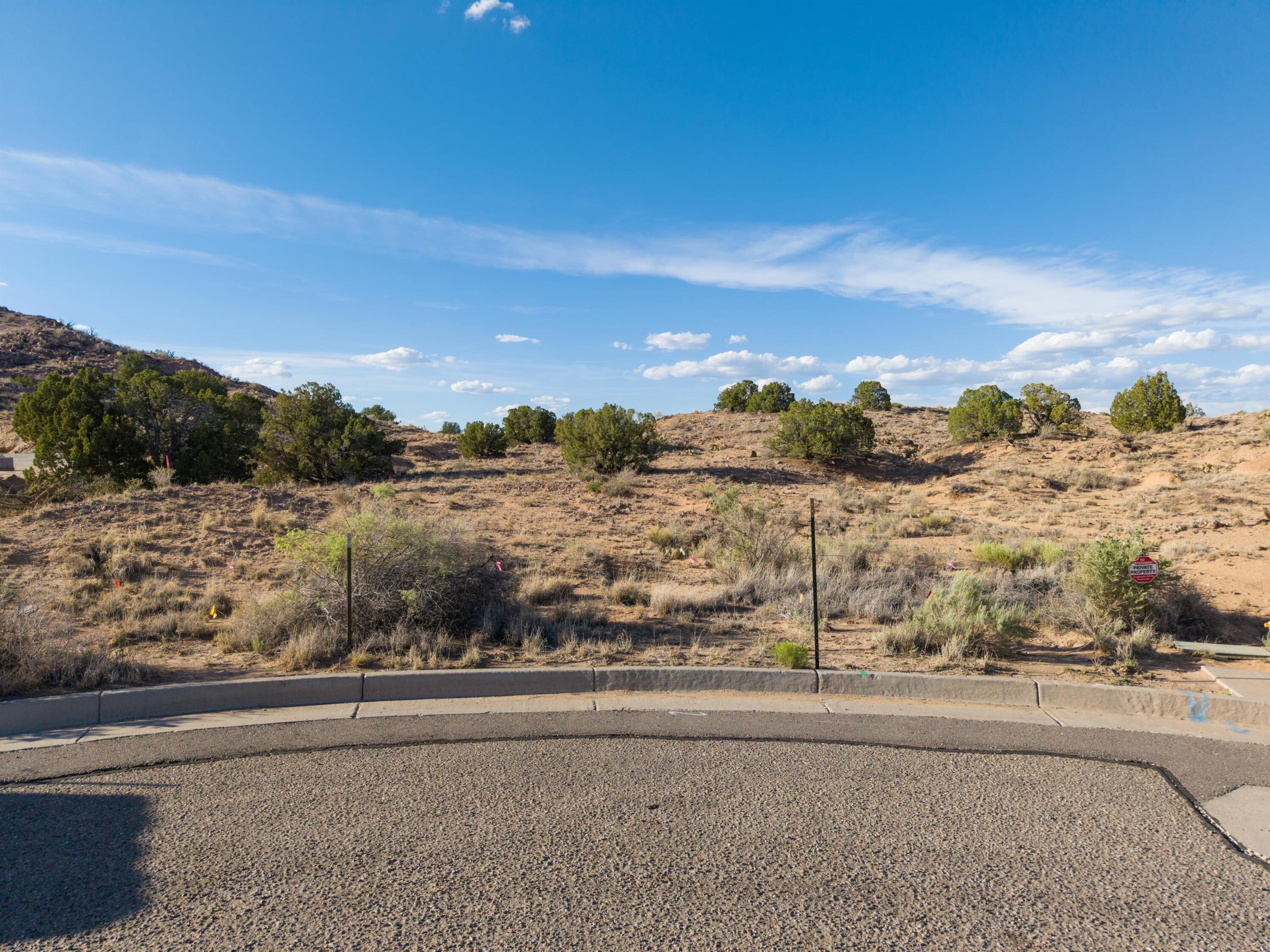 Photo 2 — 2300 Desert Zinnia Road NE