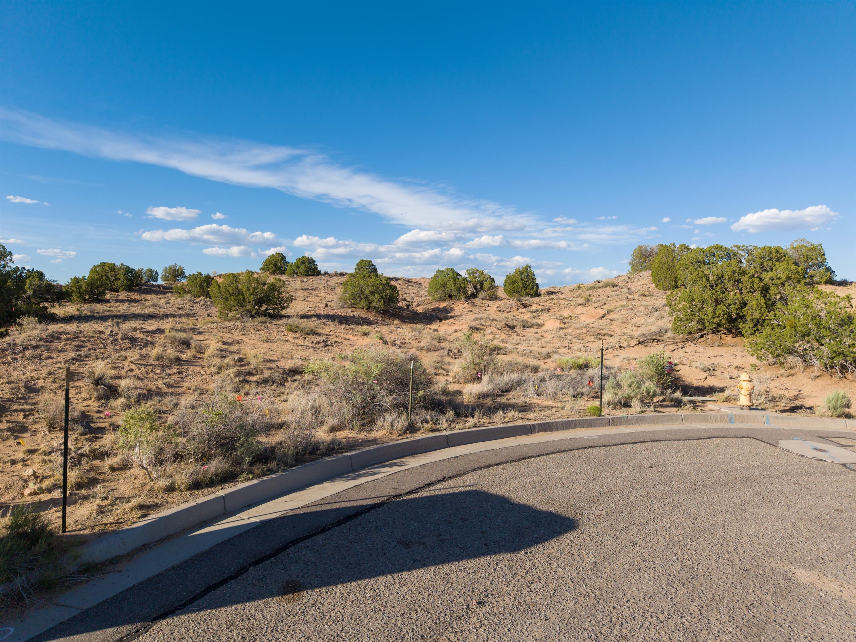 Photo 4 — 2300 Desert Zinnia Road NE