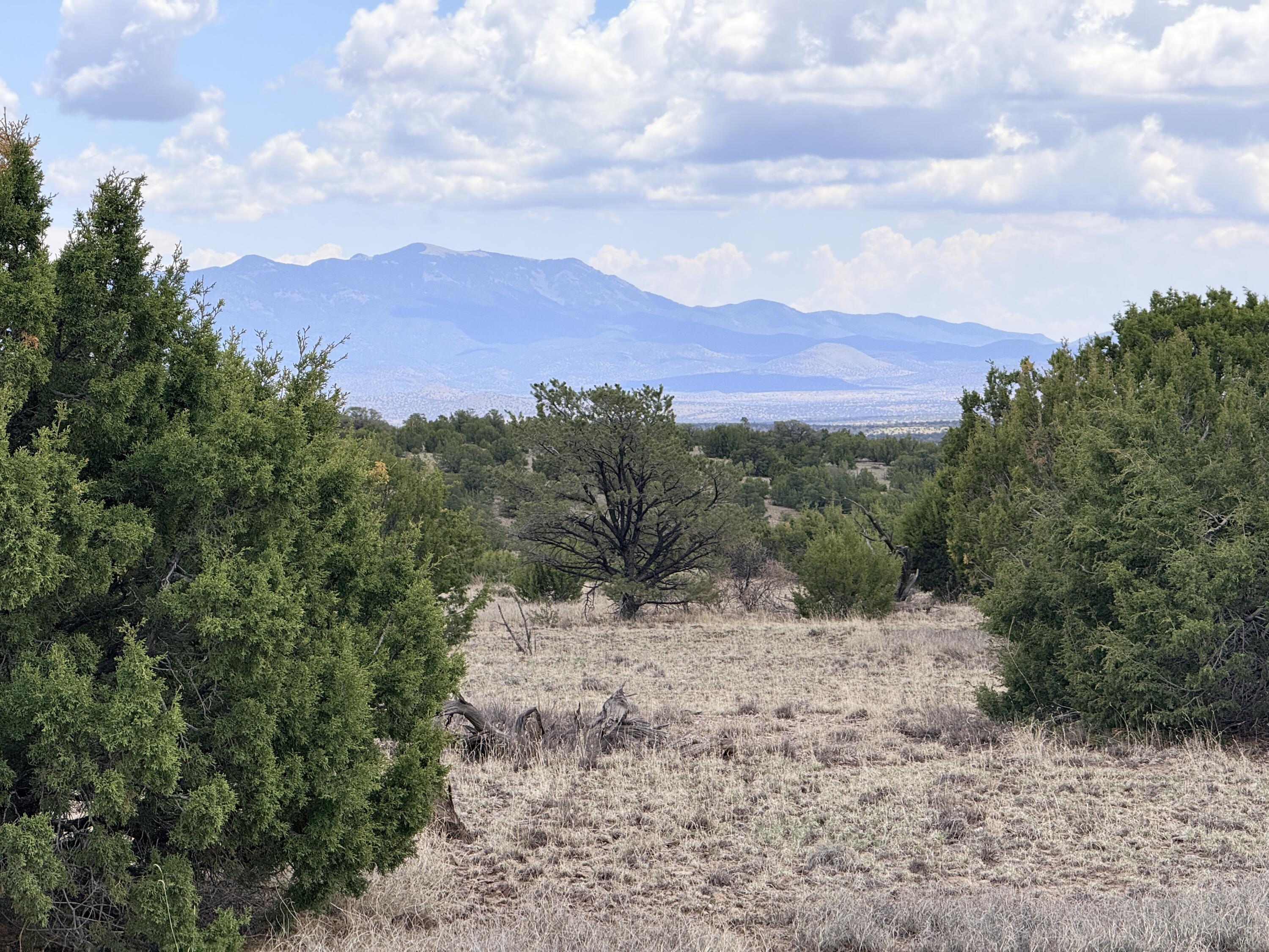 Lot 155 Pinon Springs, Magdalena, NM 87825