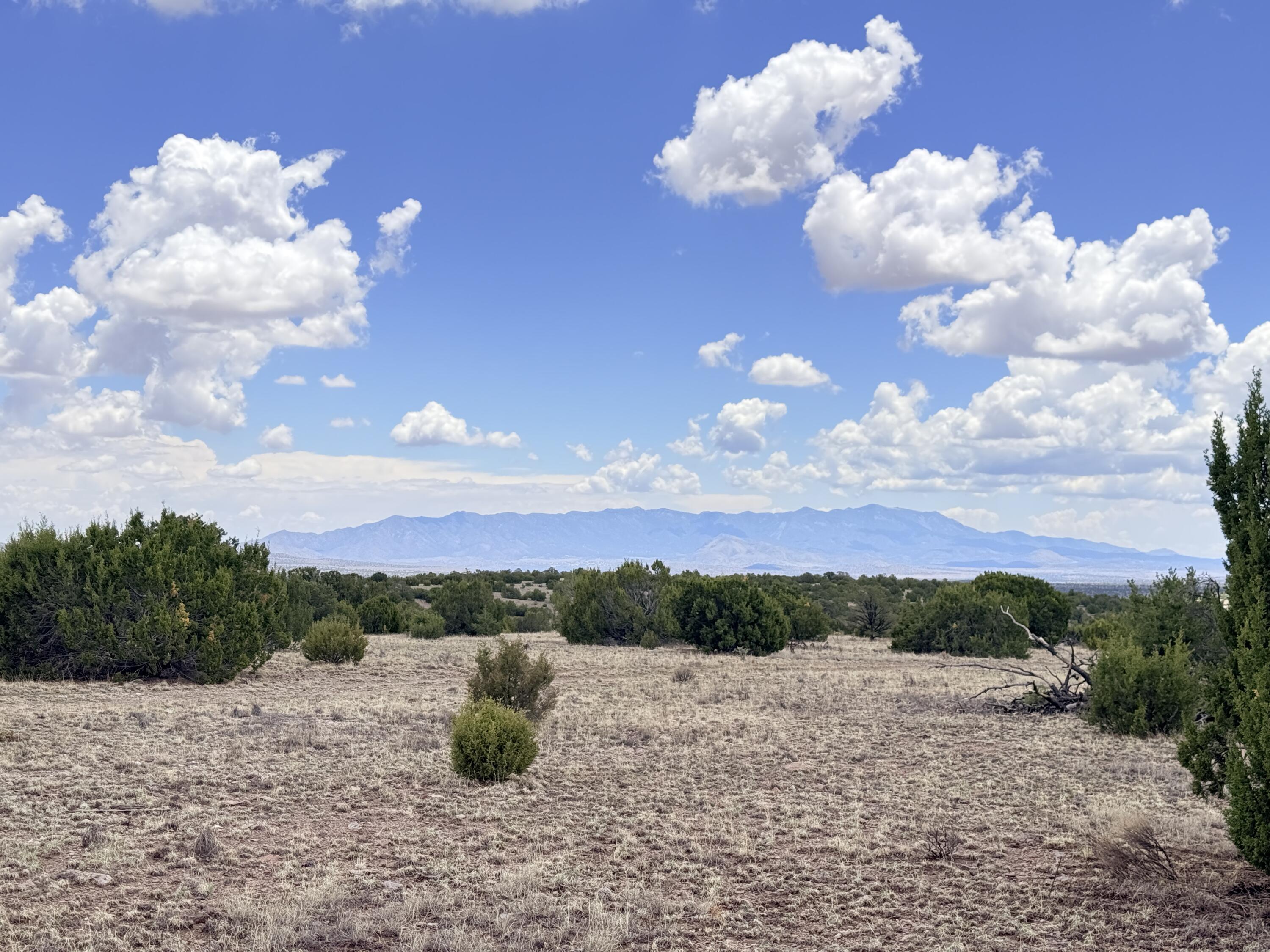 Photo 10 — Lot 155 Pinon Springs