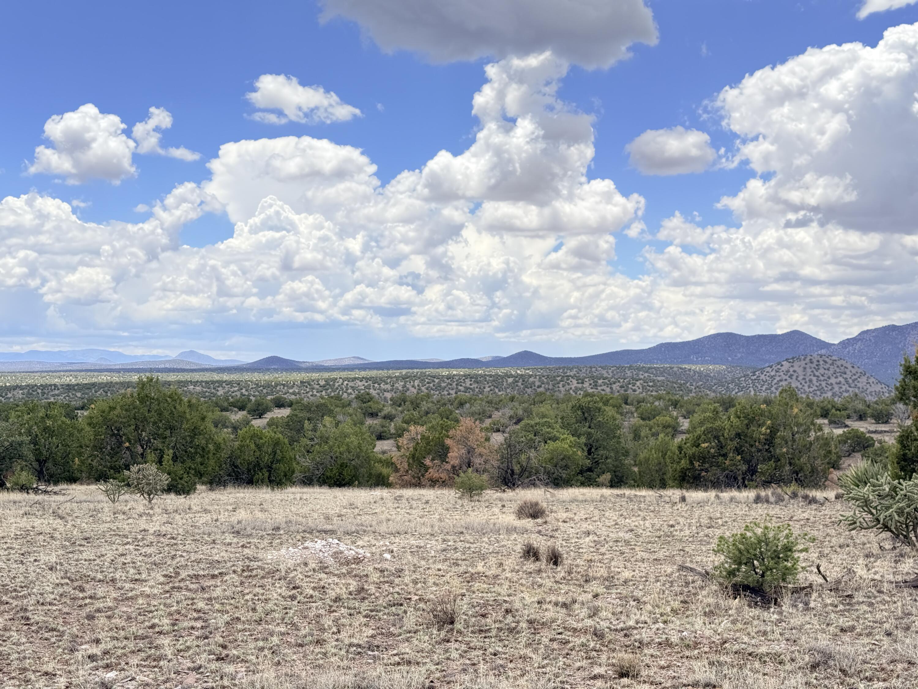Photo 9 — Lot 155 Pinon Springs