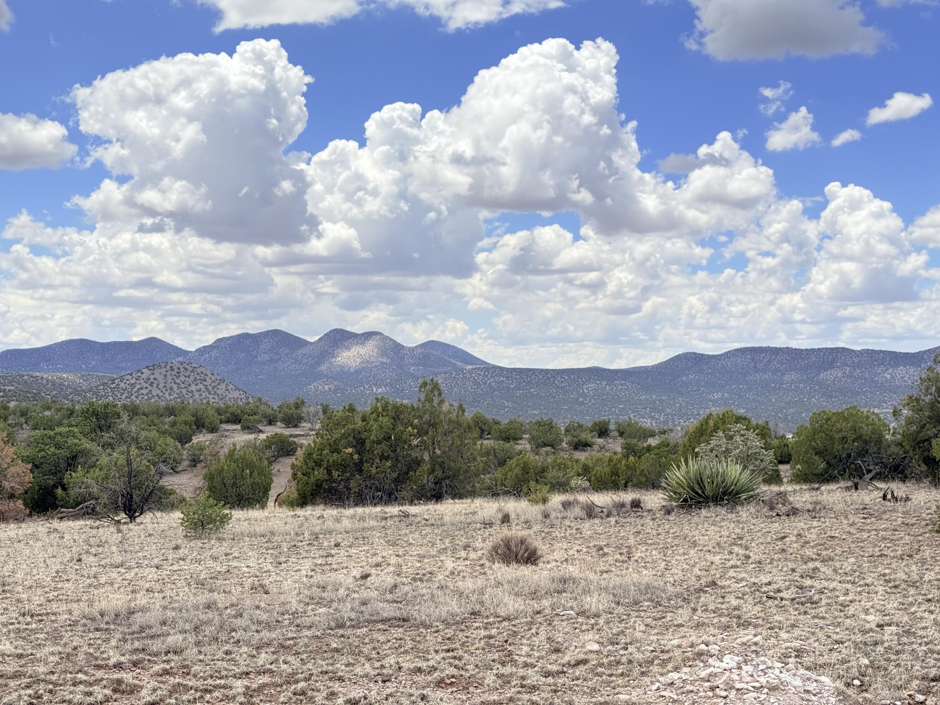Photo 8 — Lot 155 Pinon Springs