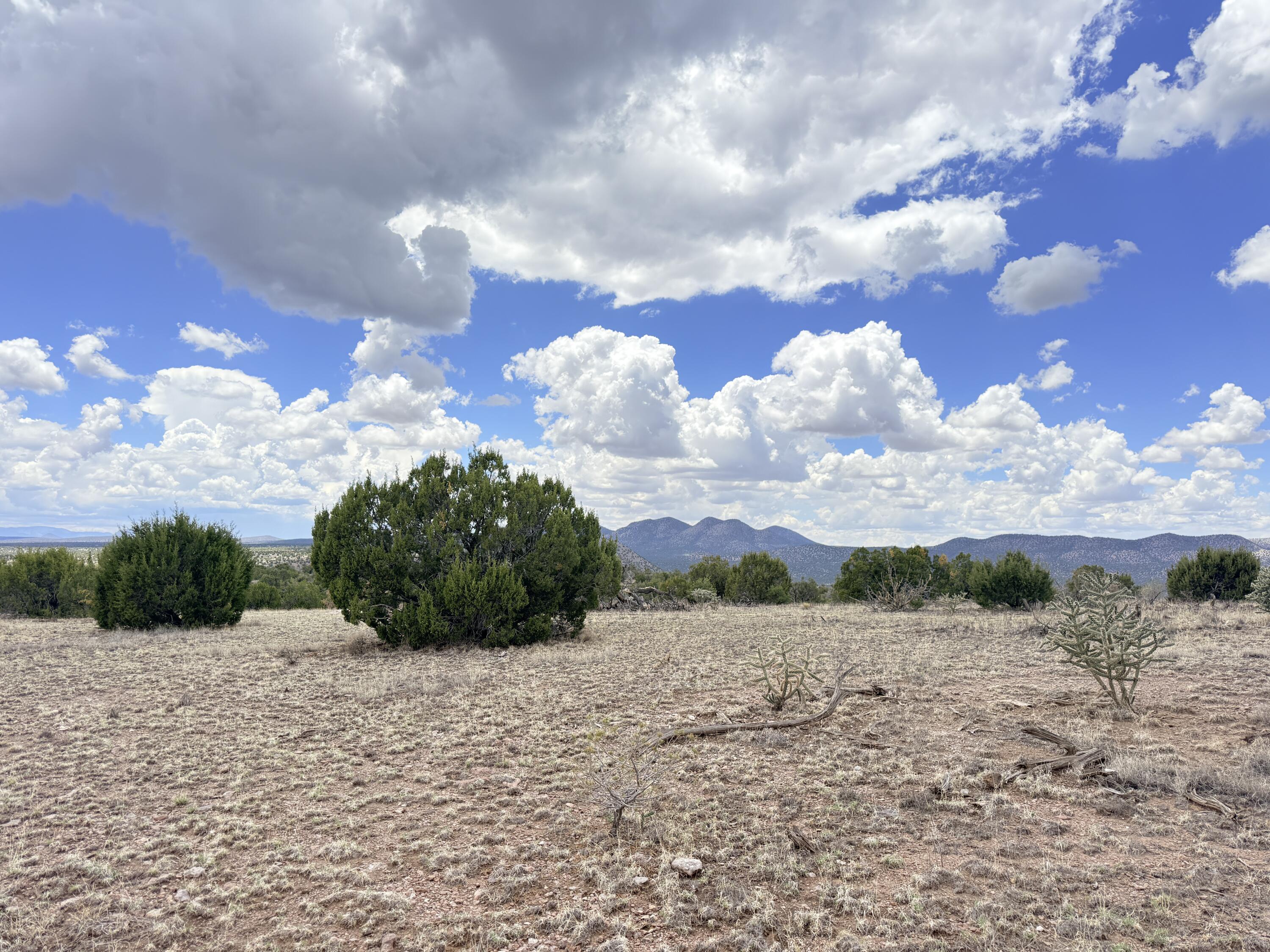 Photo 7 — Lot 155 Pinon Springs