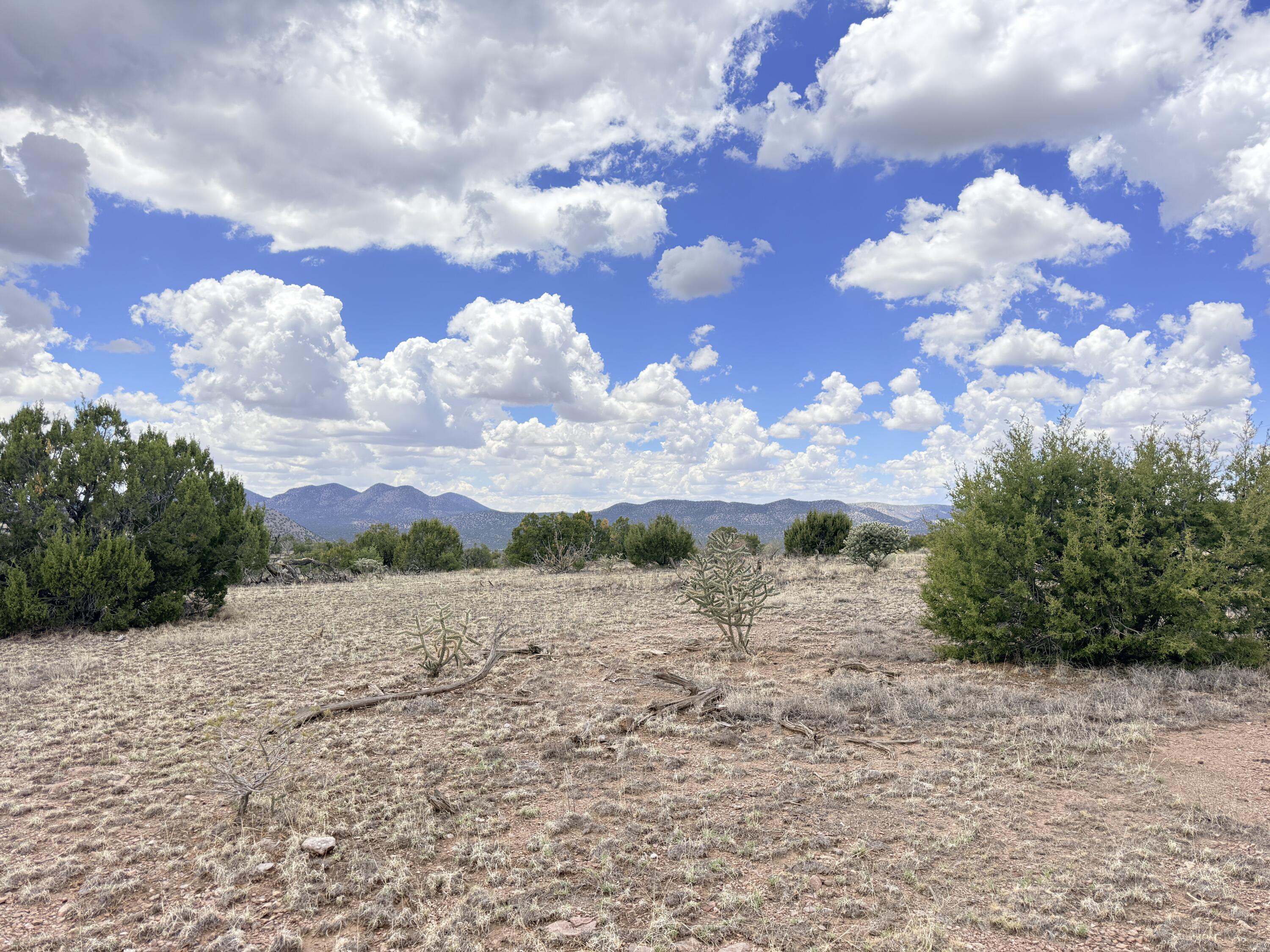 Photo 6 — Lot 155 Pinon Springs