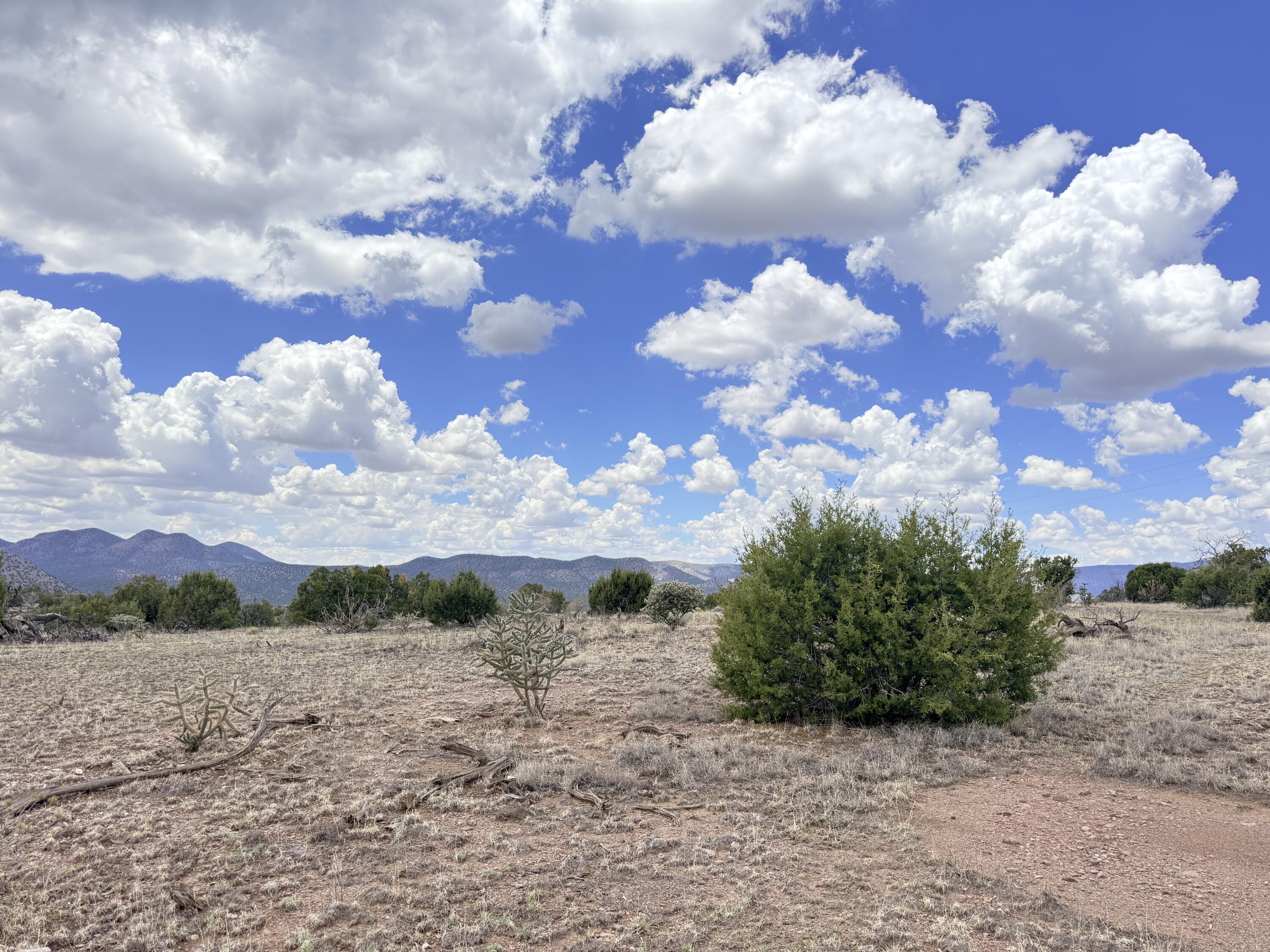 Photo 5 — Lot 155 Pinon Springs