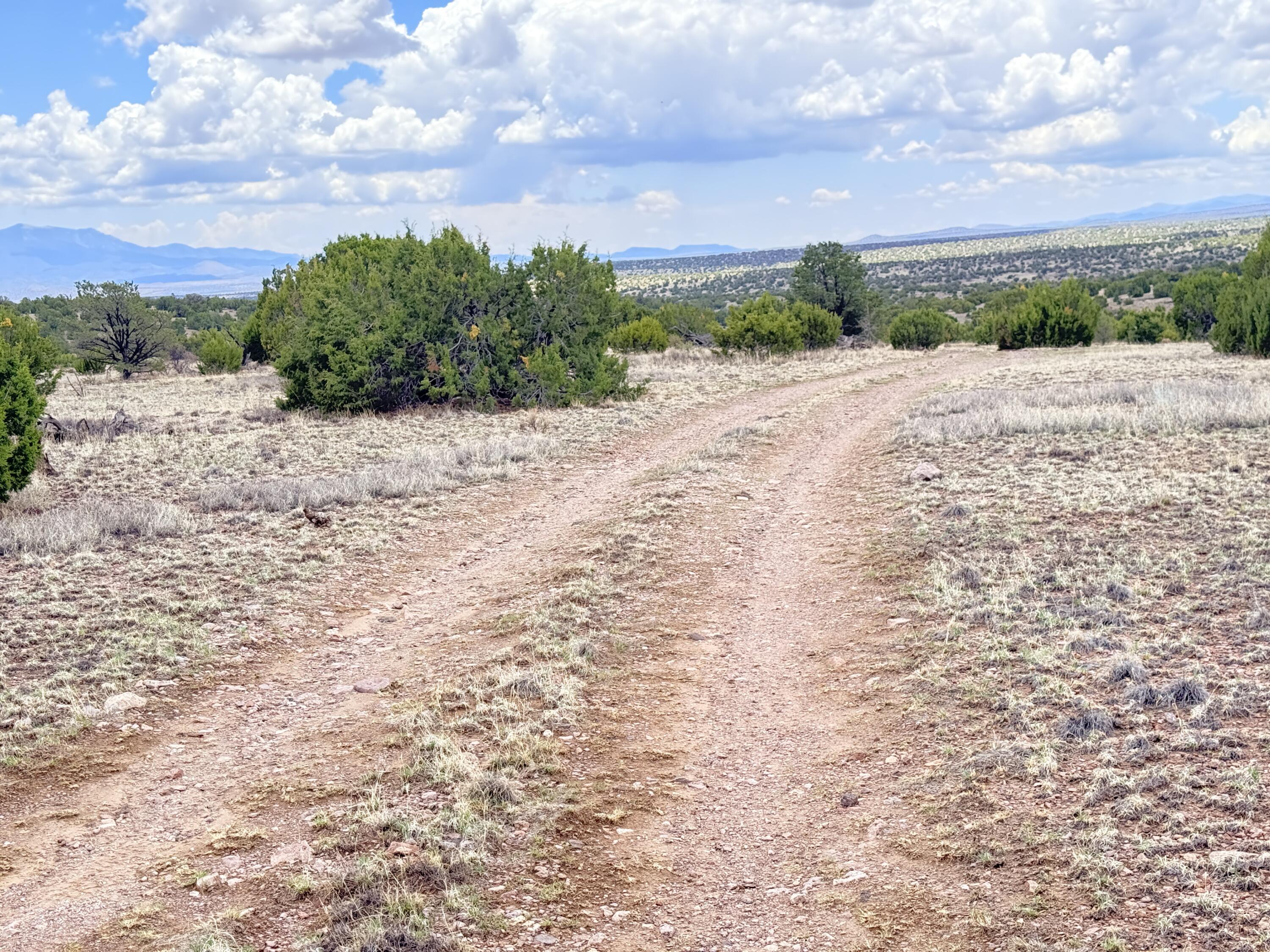 Photo 4 — Lot 155 Pinon Springs