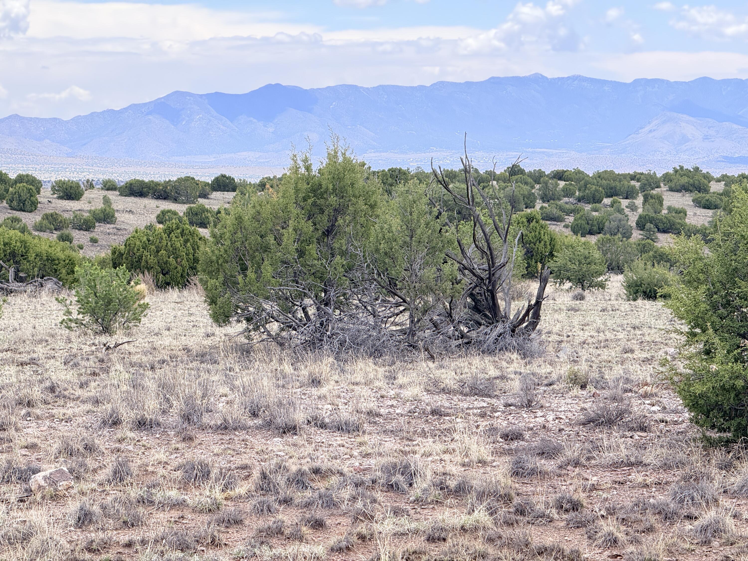 Photo 17 — Lot 155 Pinon Springs