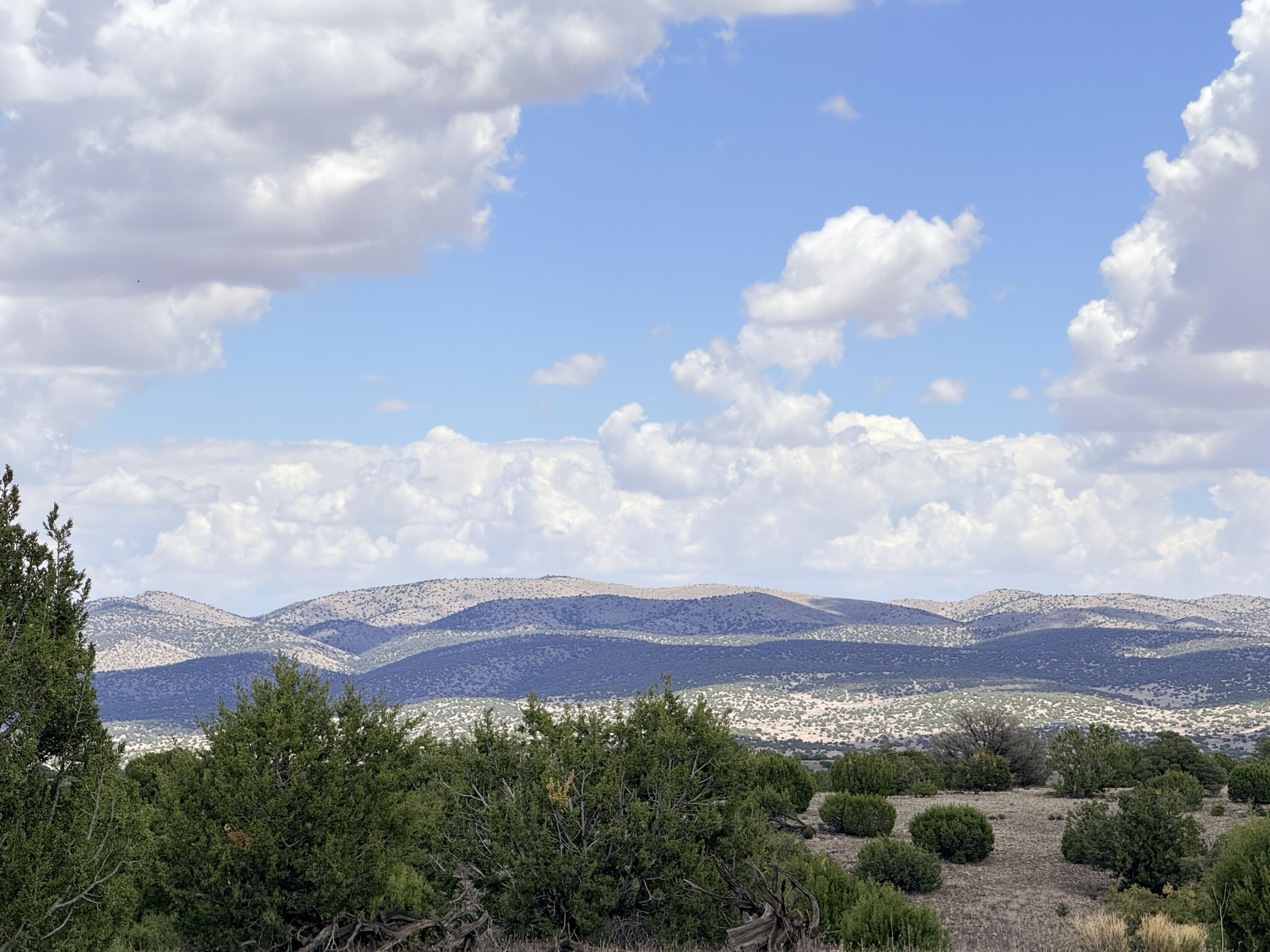 Photo 16 — Lot 155 Pinon Springs