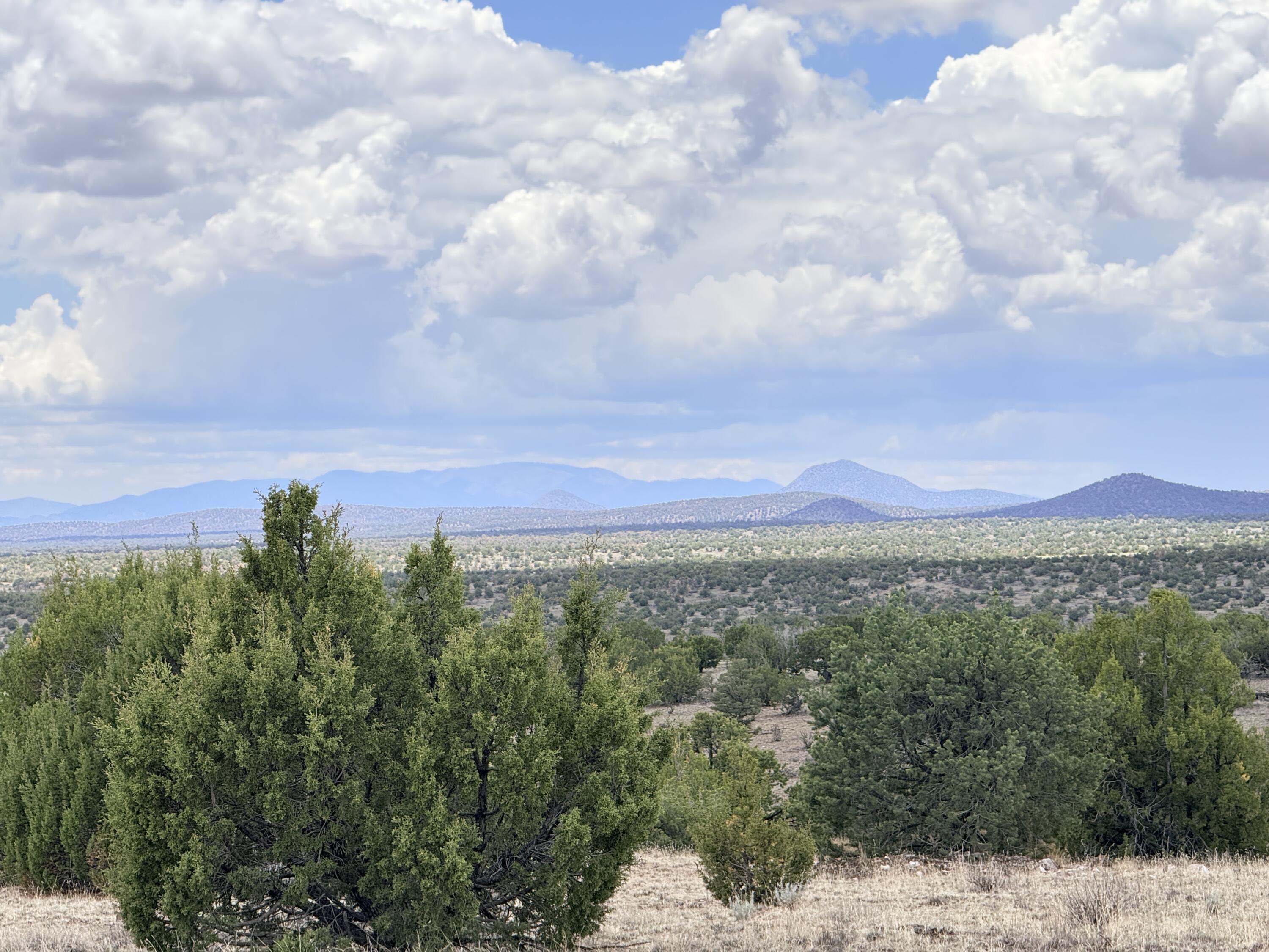 Photo 15 — Lot 155 Pinon Springs