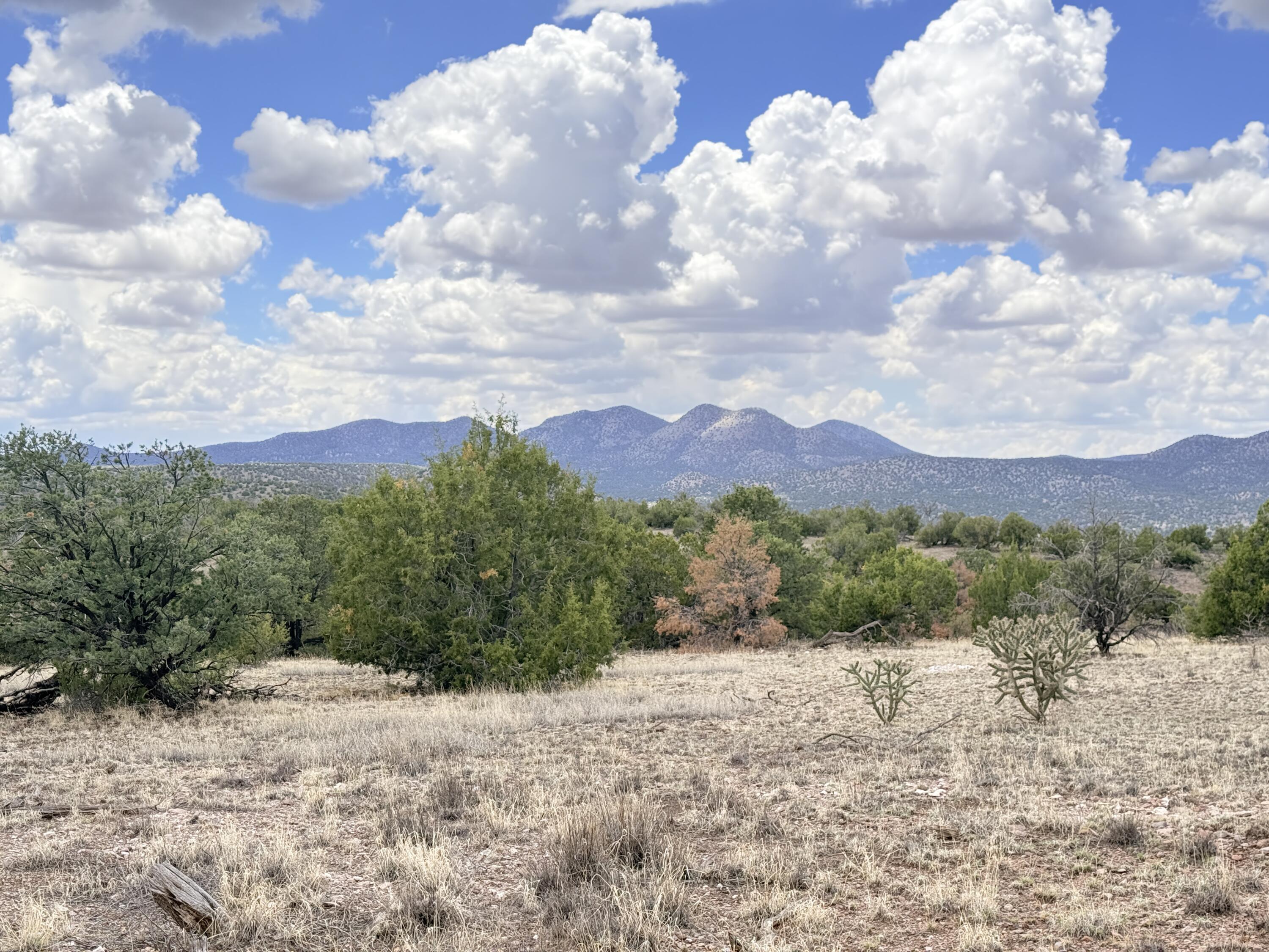 Photo 14 — Lot 155 Pinon Springs