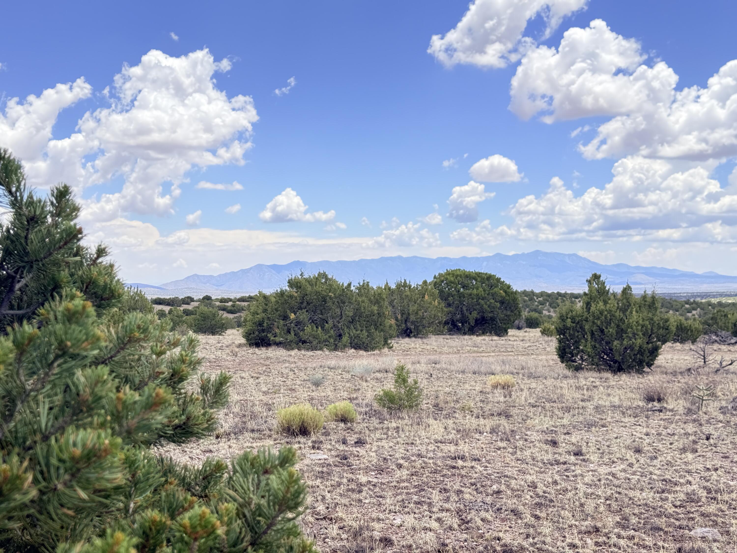 Photo 13 — Lot 155 Pinon Springs