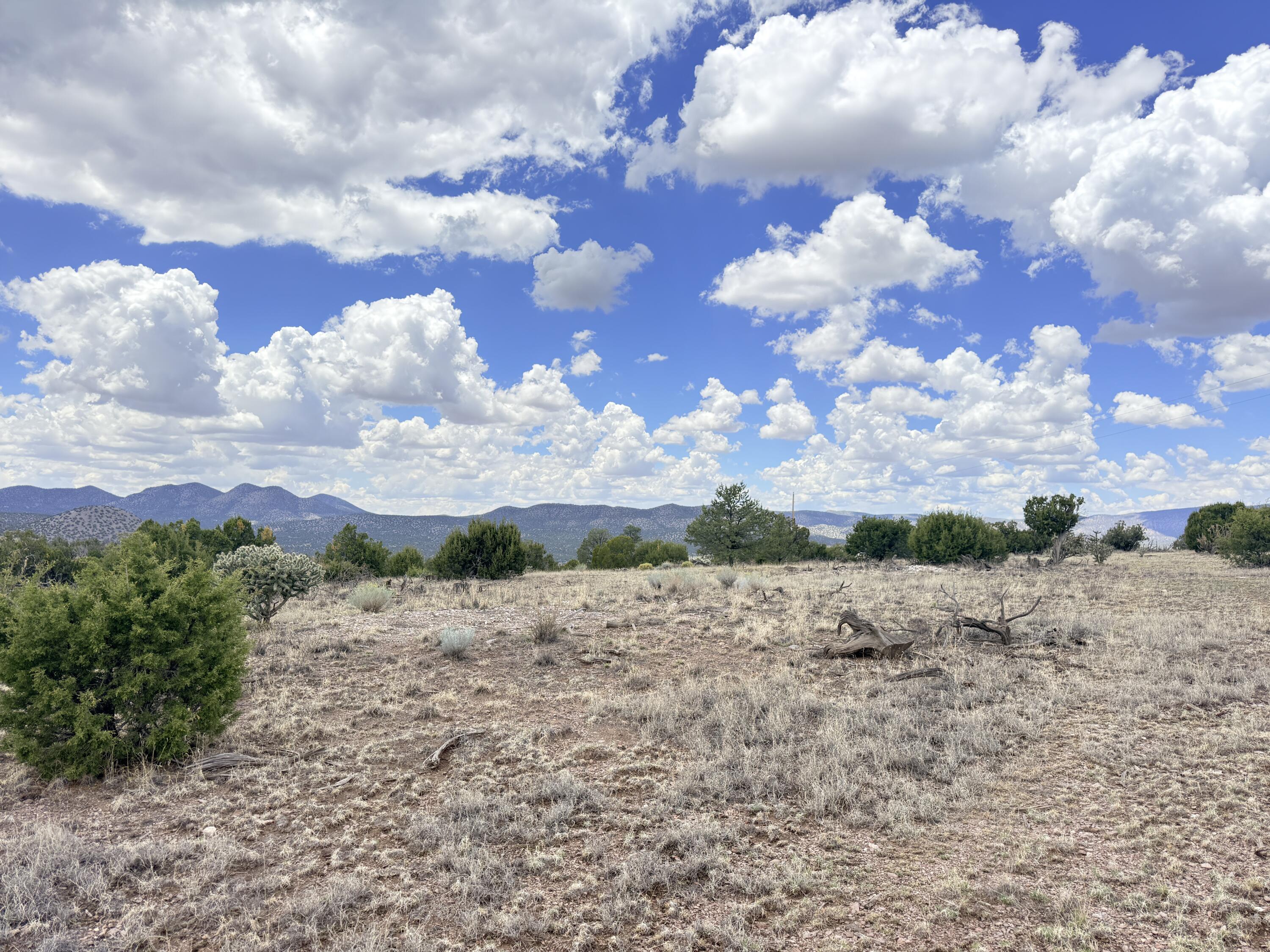 Photo 12 — Lot 155 Pinon Springs