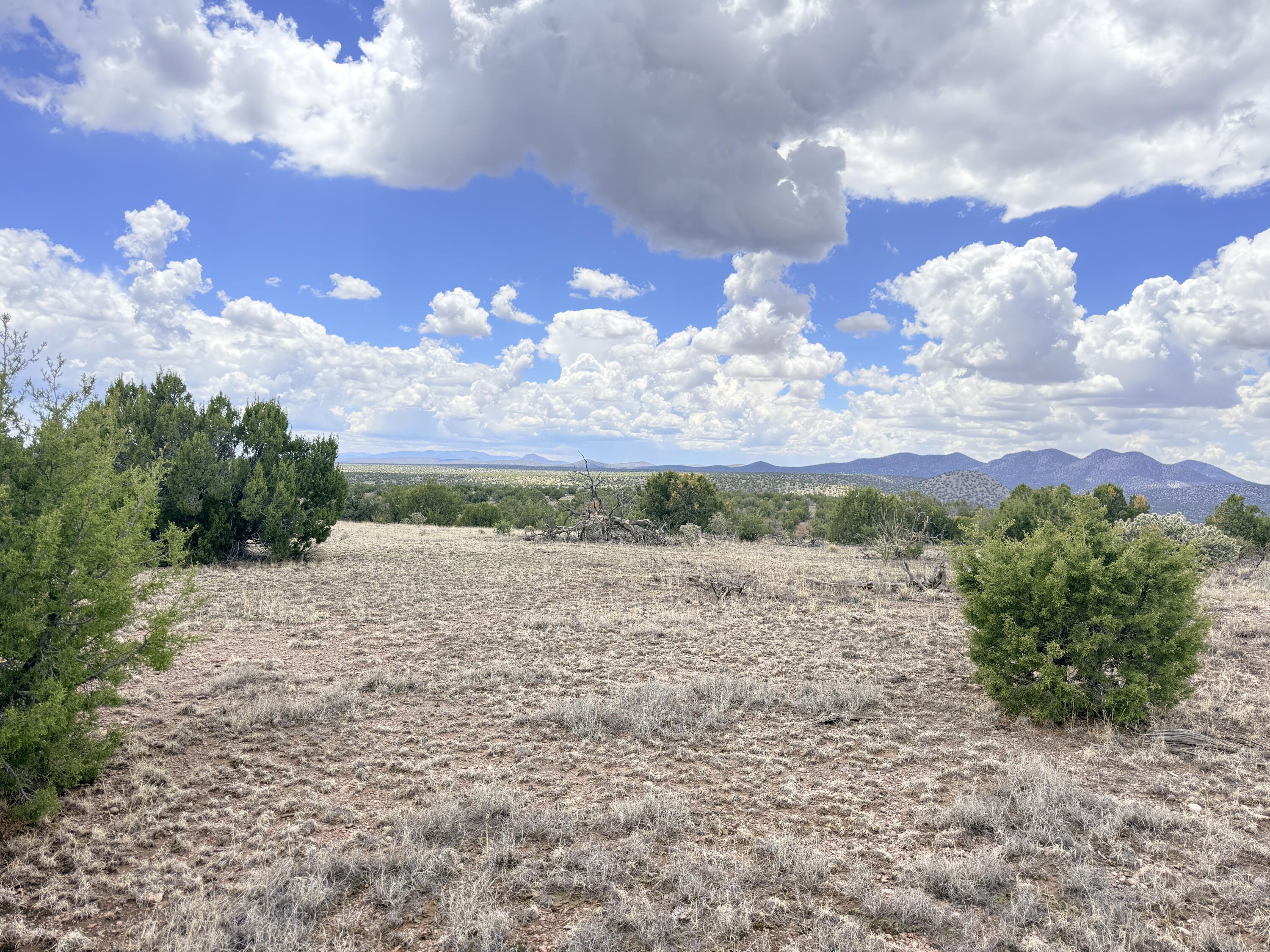 Photo 11 — Lot 155 Pinon Springs