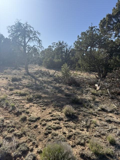 Photo 9 — Lot 6 Five Gate Road