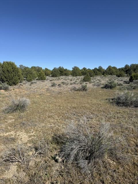 Photo 7 — Lot 6 Five Gate Road