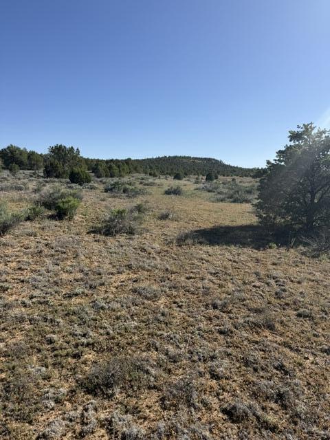 Photo 6 — Lot 6 Five Gate Road