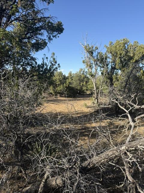 Photo 16 — Lot 6 Five Gate Road