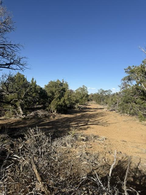Photo 15 — Lot 6 Five Gate Road