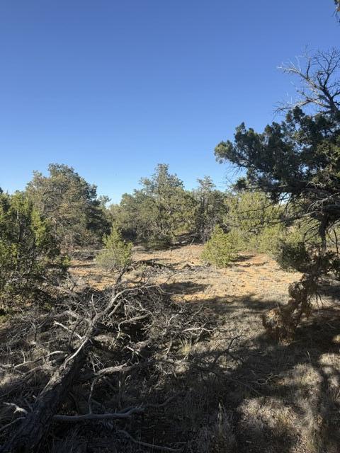 Photo 14 — Lot 6 Five Gate Road