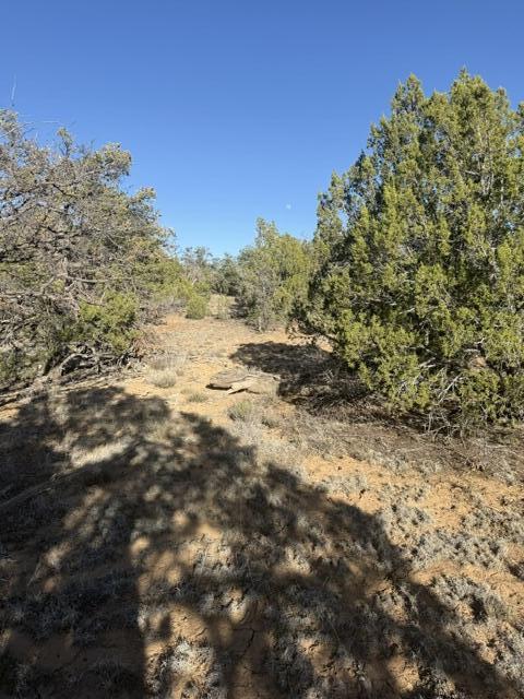 Photo 13 — Lot 6 Five Gate Road