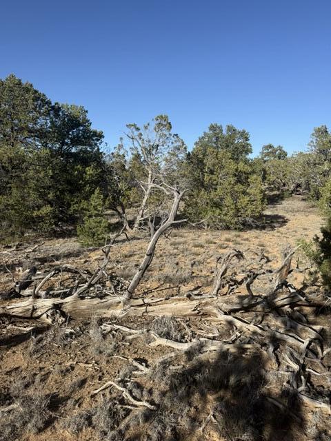 Photo 12 — Lot 6 Five Gate Road