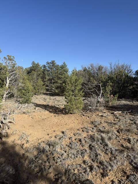 Photo 11 — Lot 6 Five Gate Road