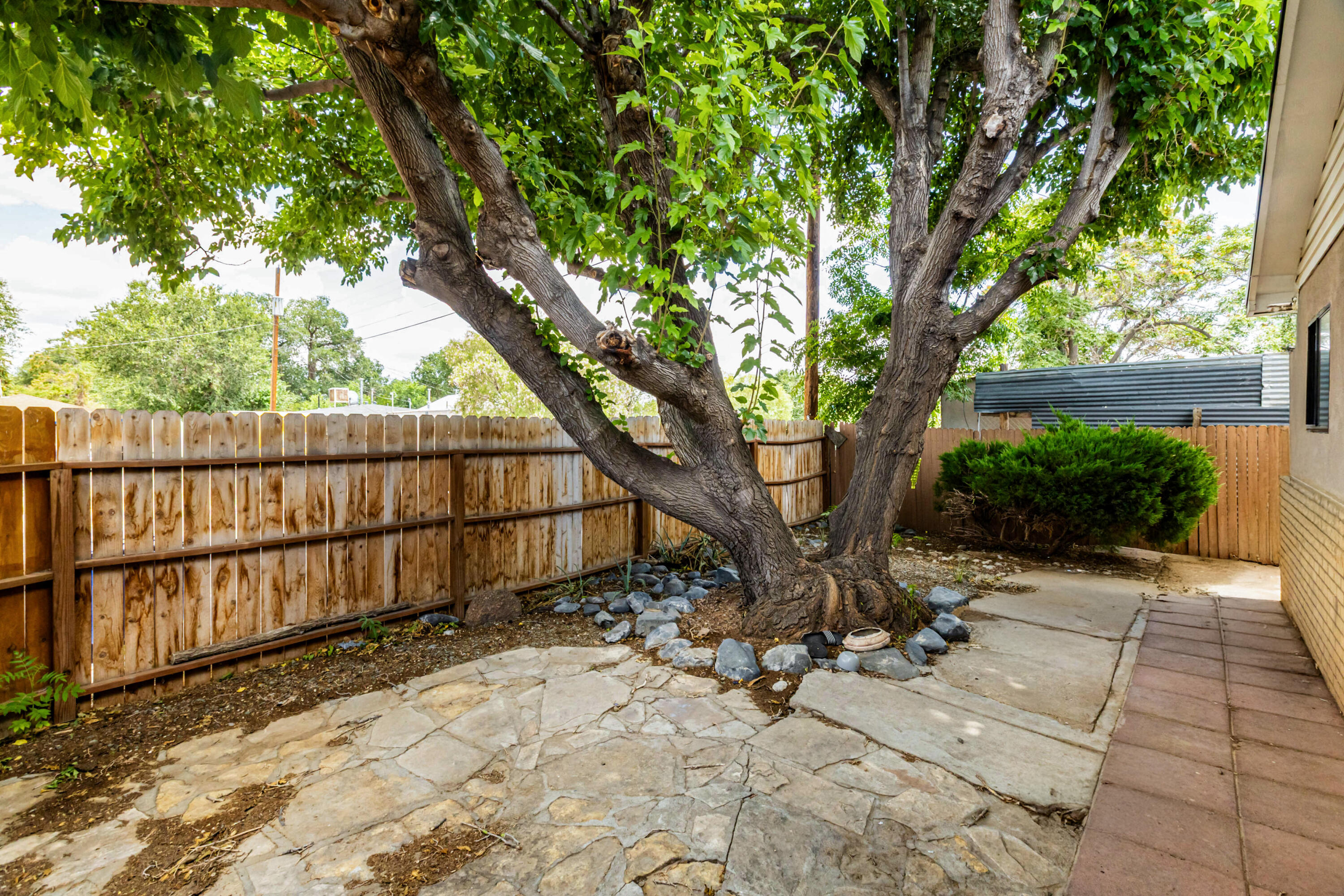 Photo 2 — 917 8th Street SW