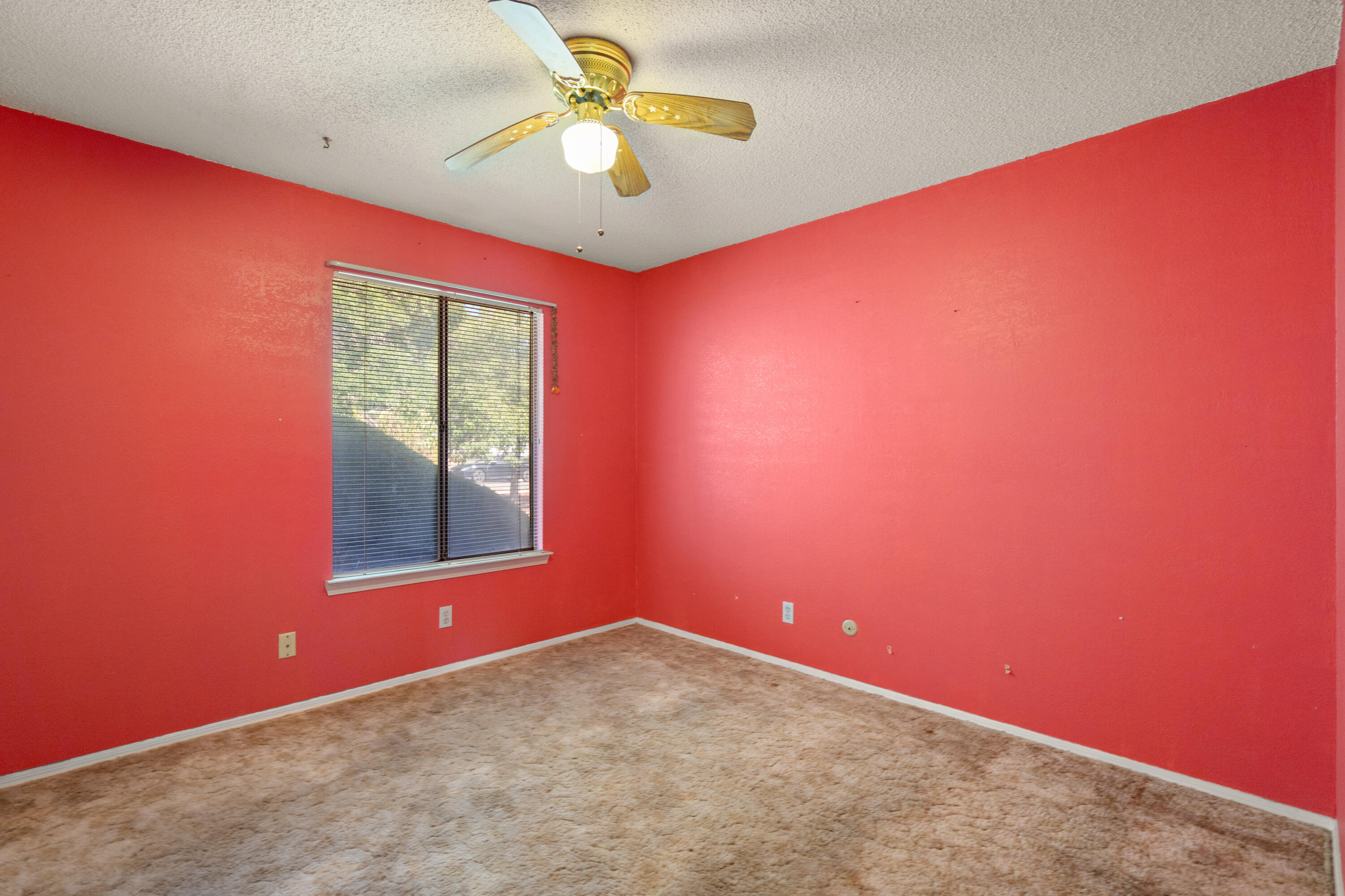 Photo 9 — 1229 Hiawatha Drive NE
