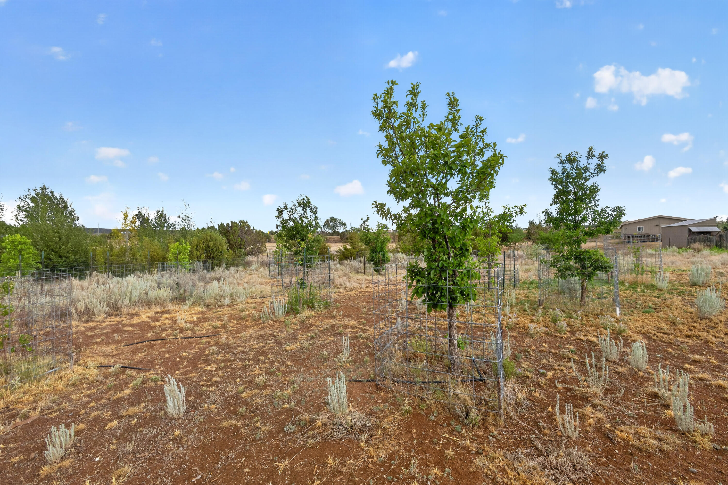 Photo 7 — 6 County Line Road