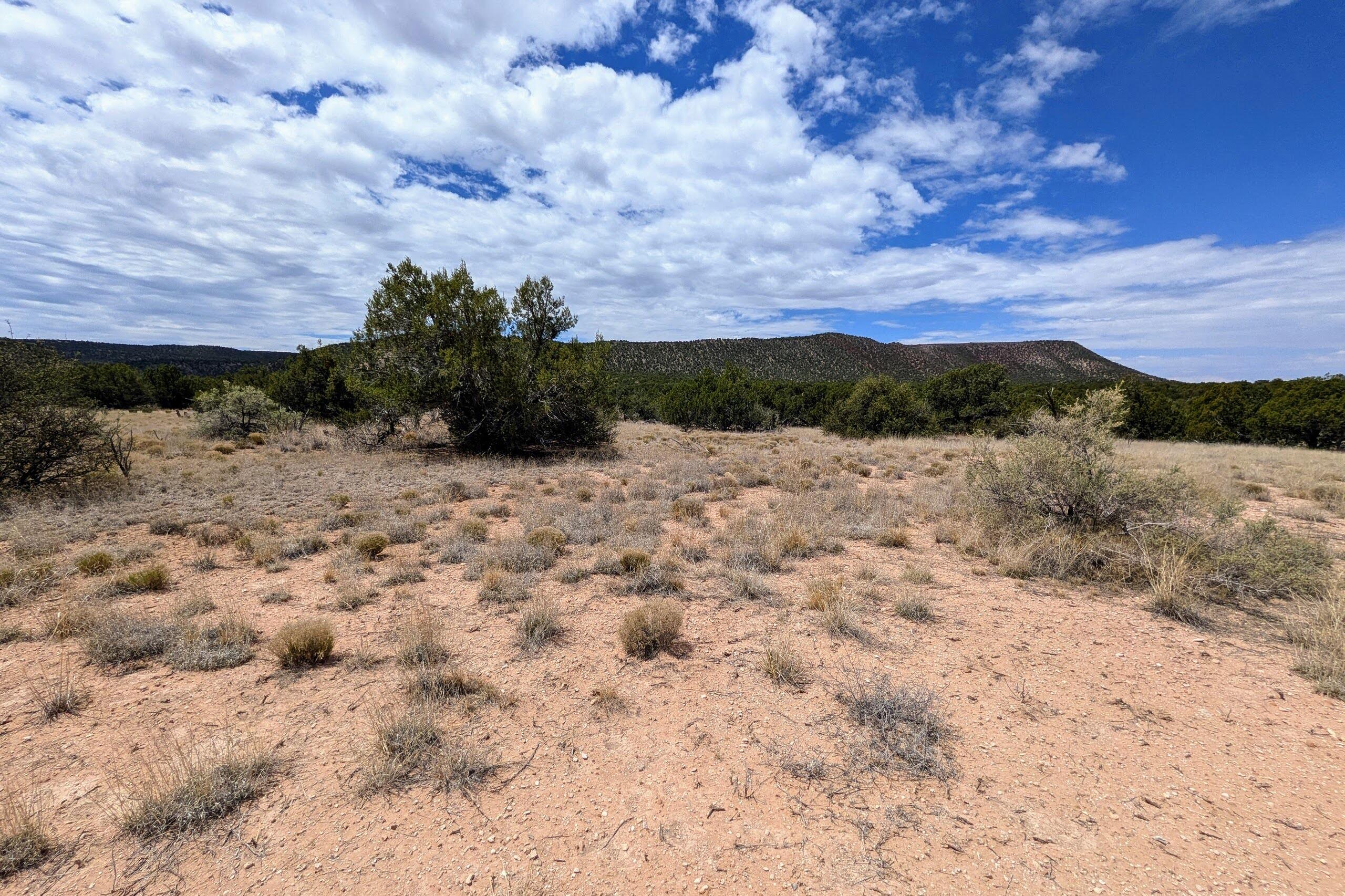 Photo 10 — 2384 Jumano Trail