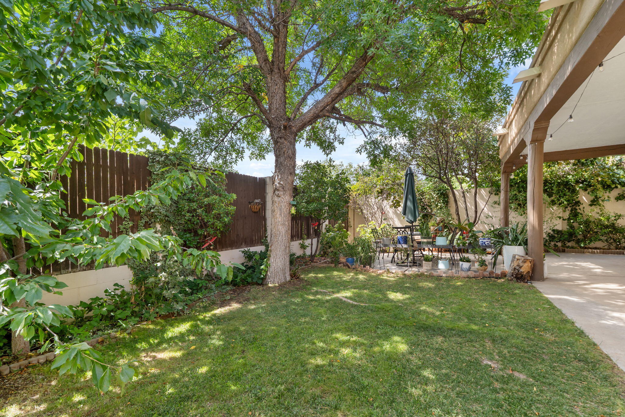 Photo 11 — 8405 Petaluma Drive NE