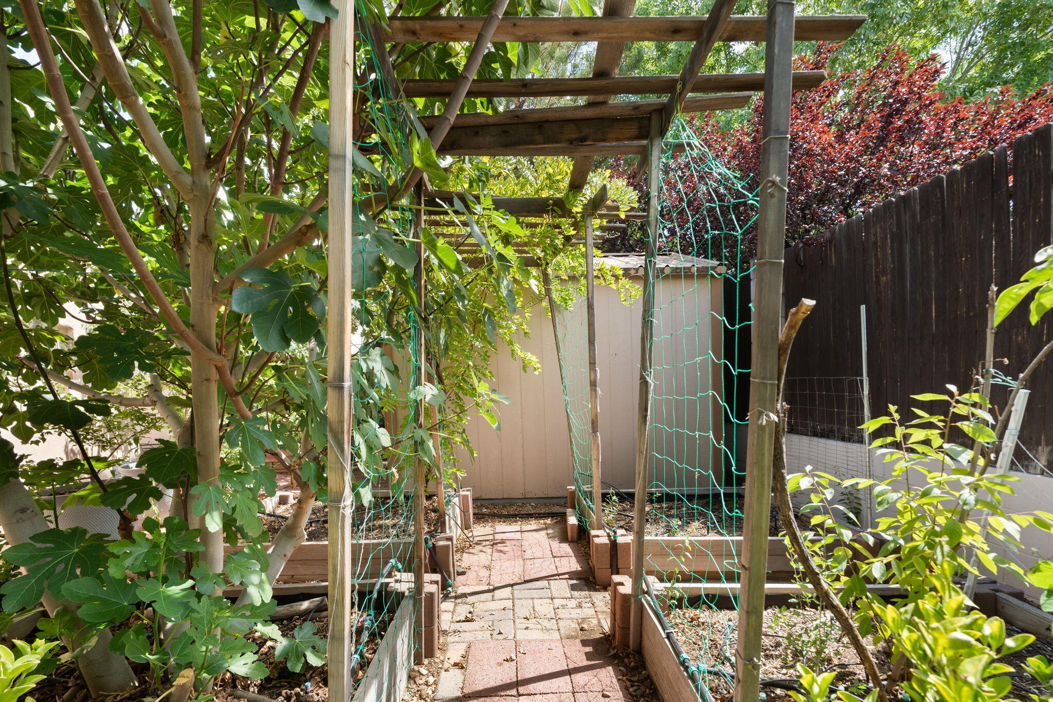 Photo 10 — 8405 Petaluma Drive NE