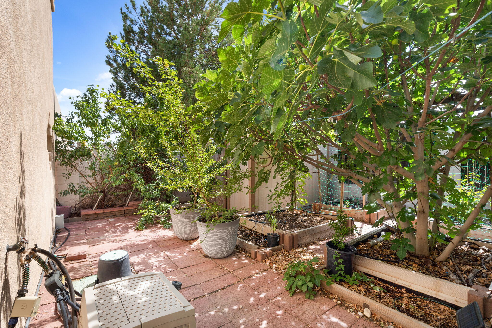 Photo 9 — 8405 Petaluma Drive NE