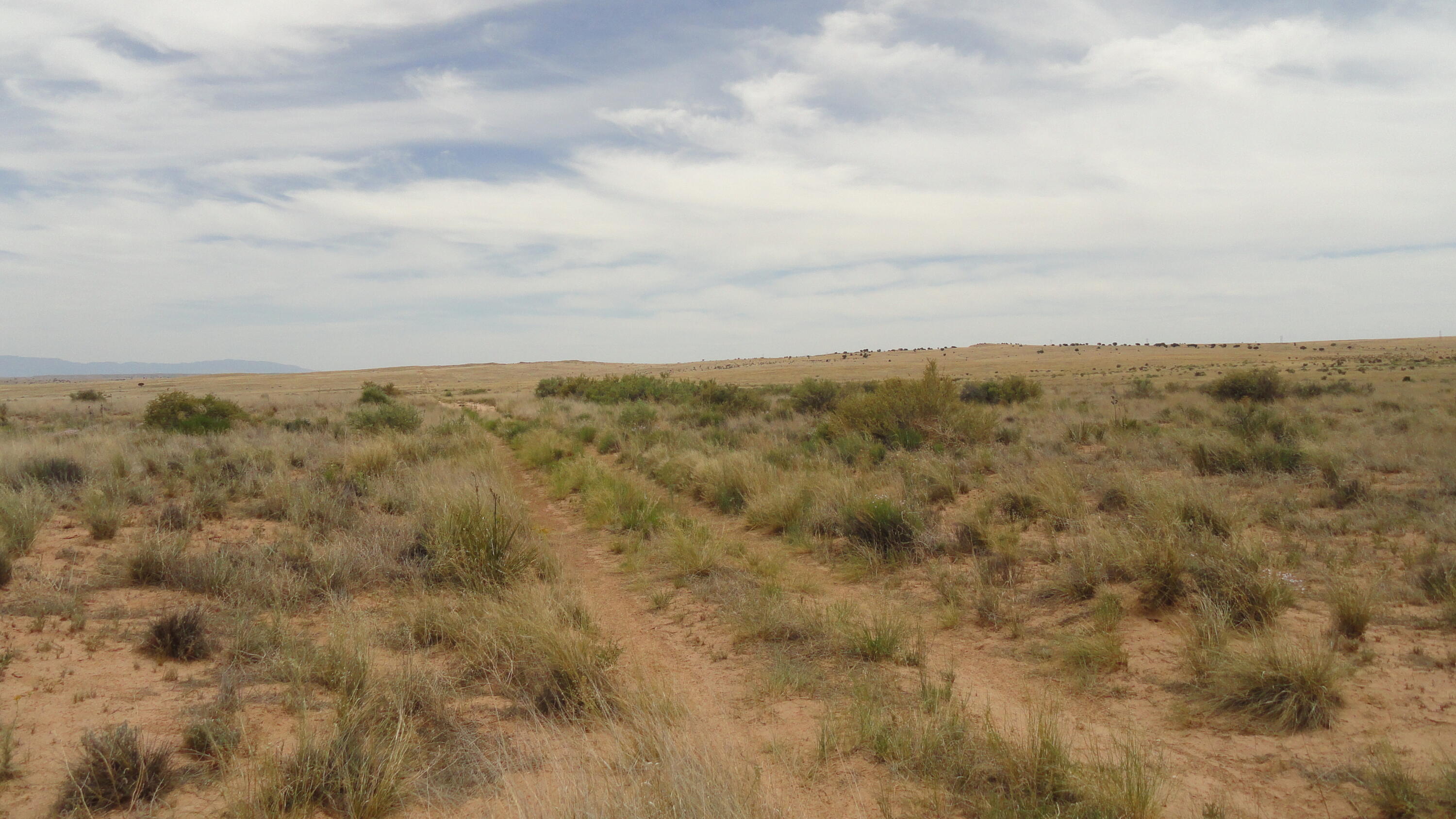 Photo 7 —  Canyon Road