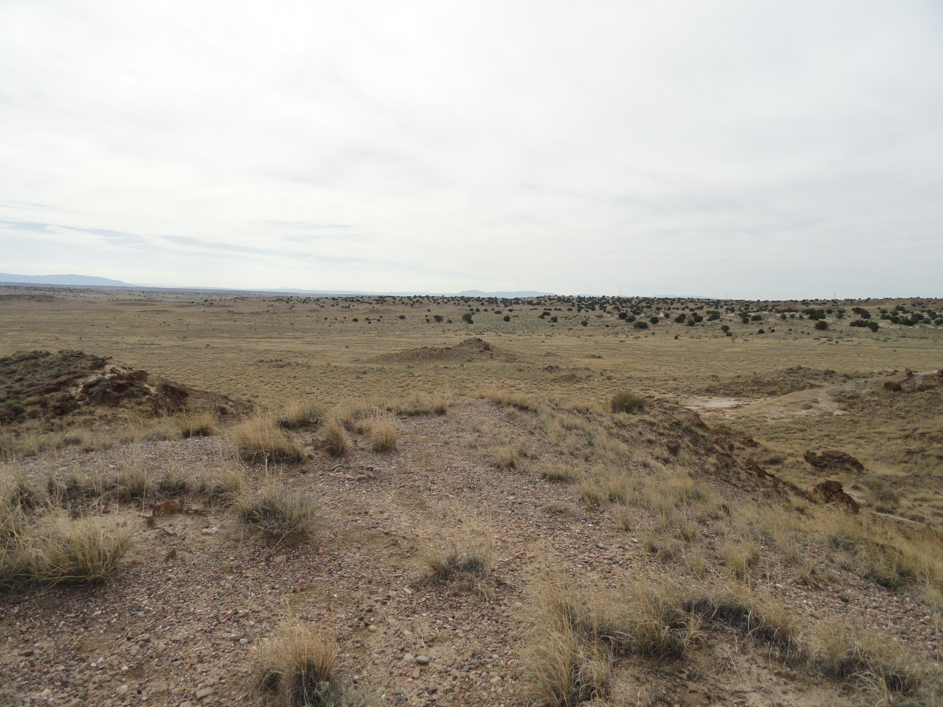 Photo 9 —  Canyon Road