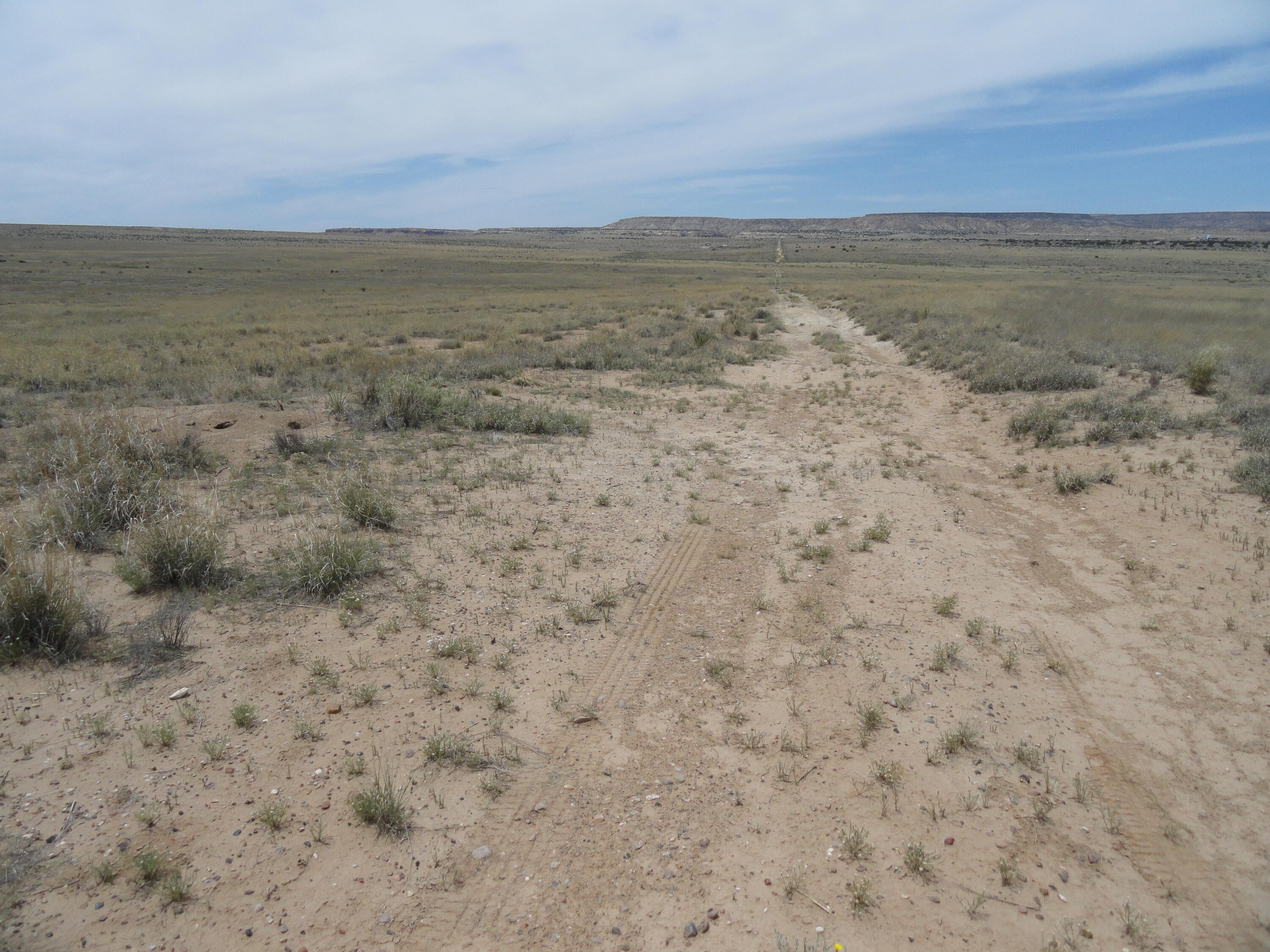 Photo 12 —  Canyon Road