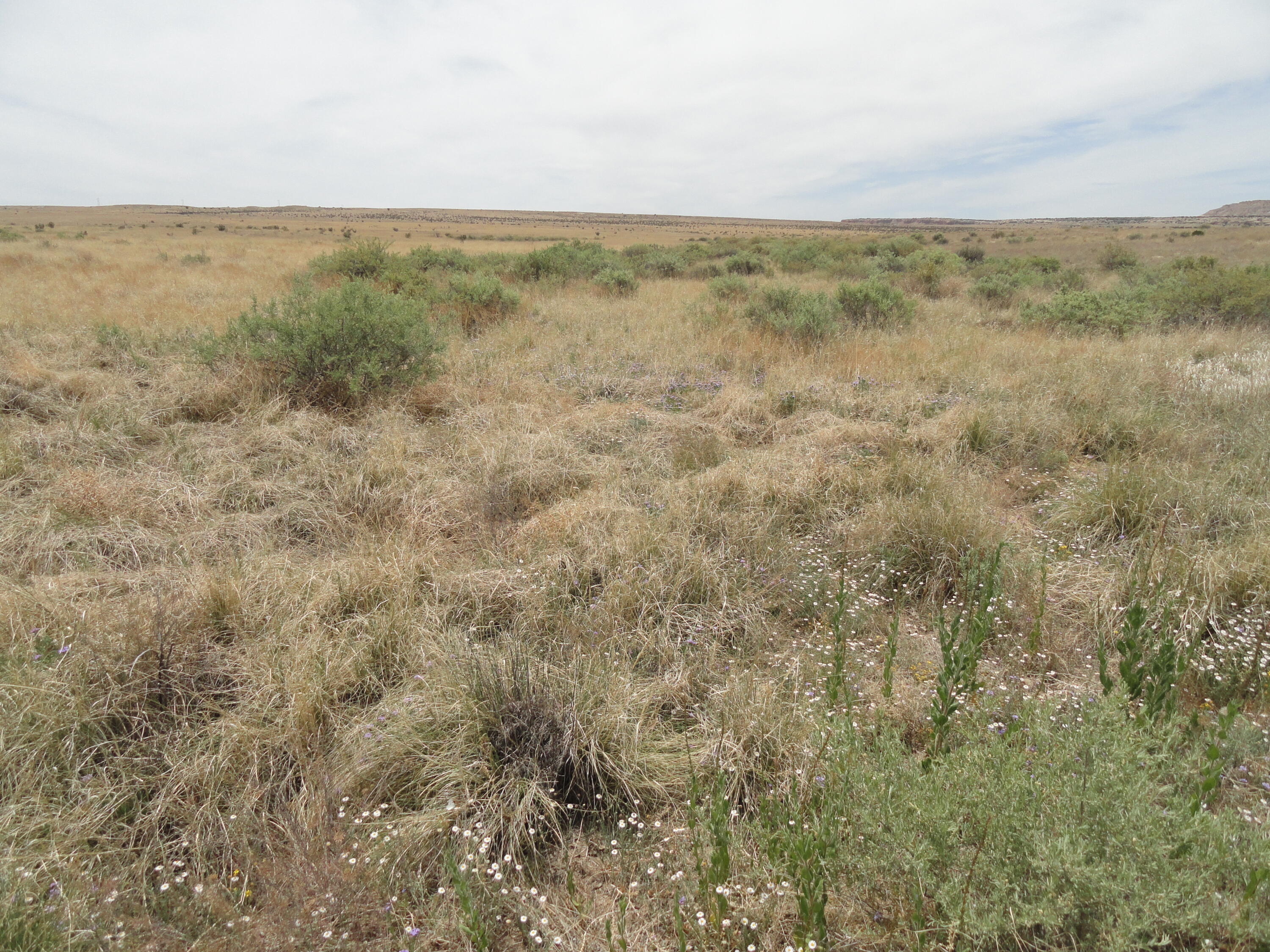  Canyon, Laguna, NM 87026