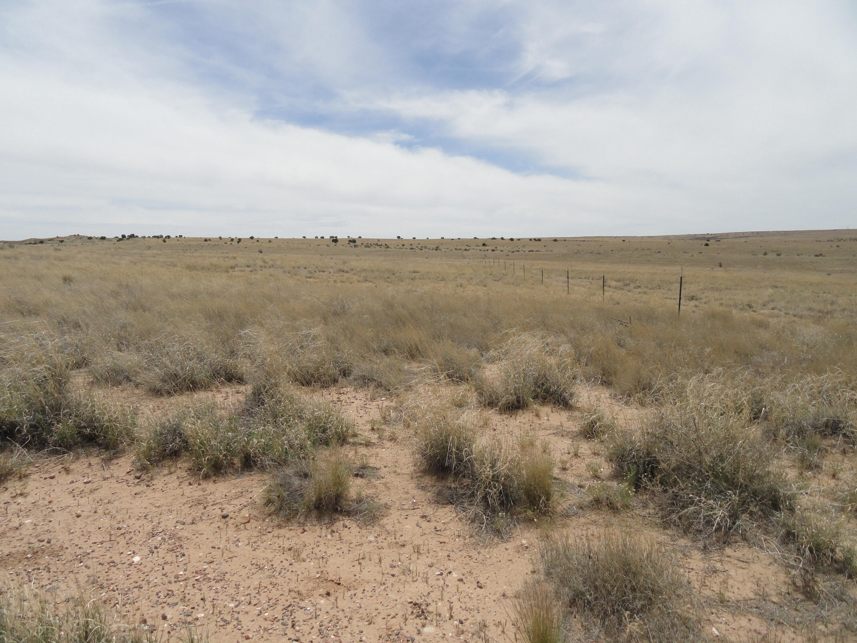 Photo 4 —  Canyon