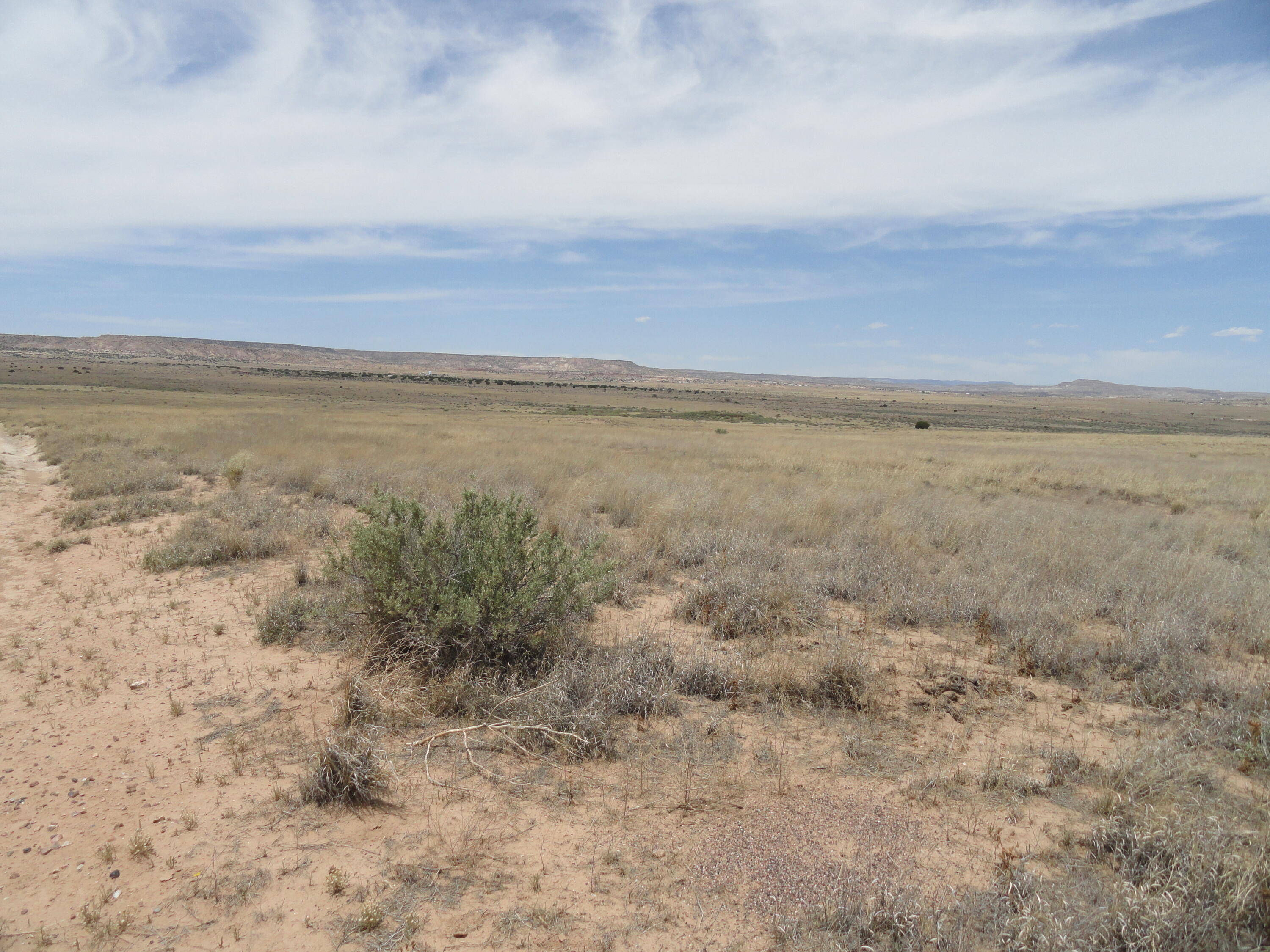 Photo 5 —  Canyon